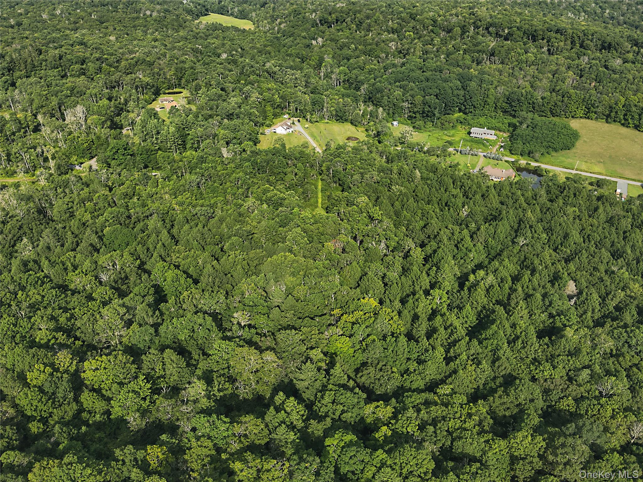 O Benton Hollow Road – For Sale photo 7