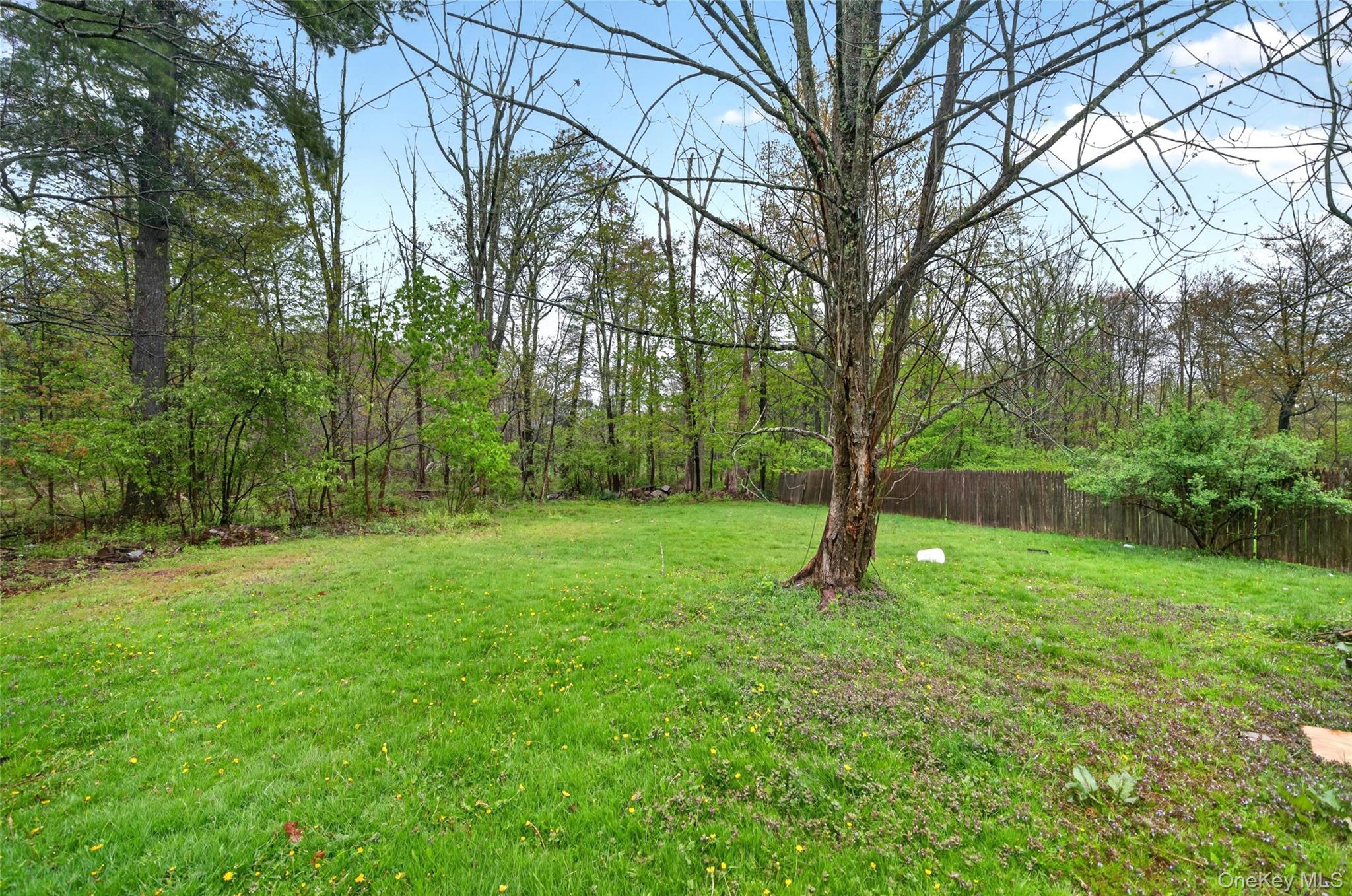41 Rock Ridge Avenue – For Rent photo 25
