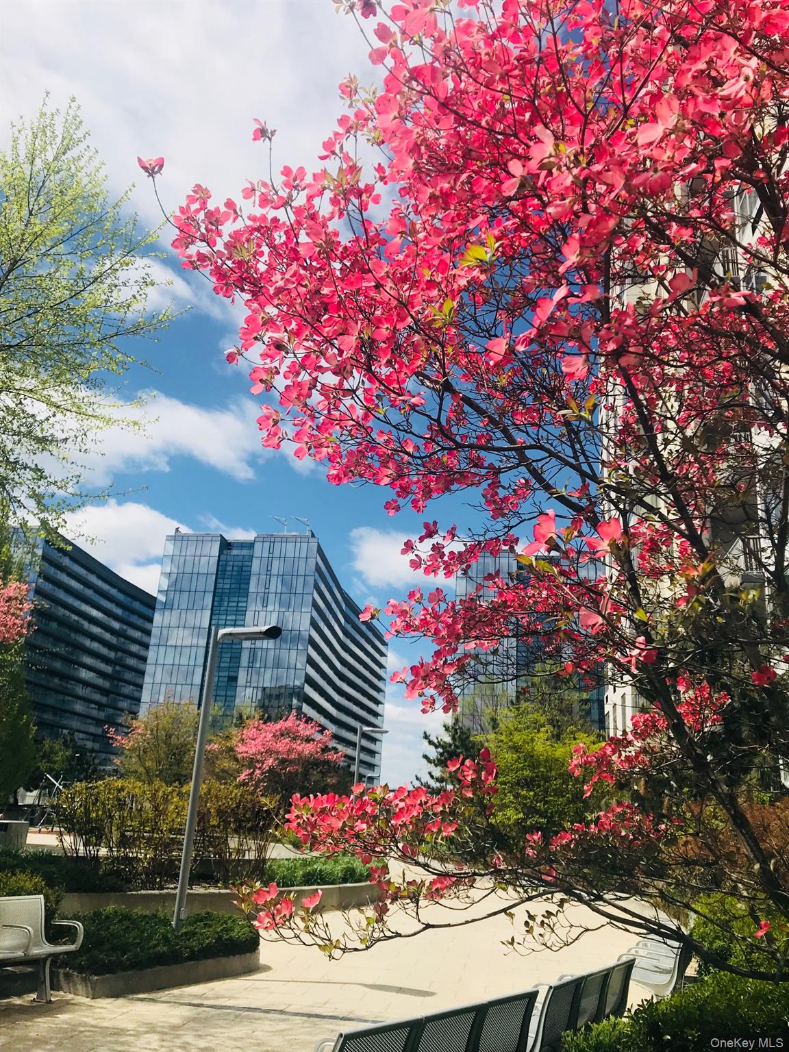 13103 40th Road, Unit 15H