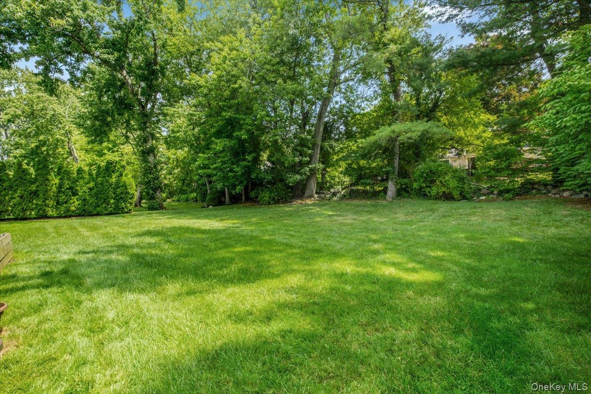 21 Primrose Avenue – For Sale photo 10