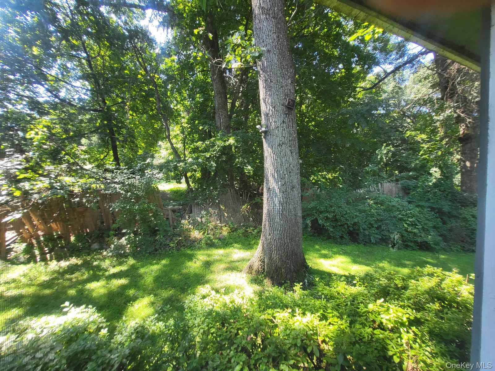 3 Vanamee Street – For Sale photo 42