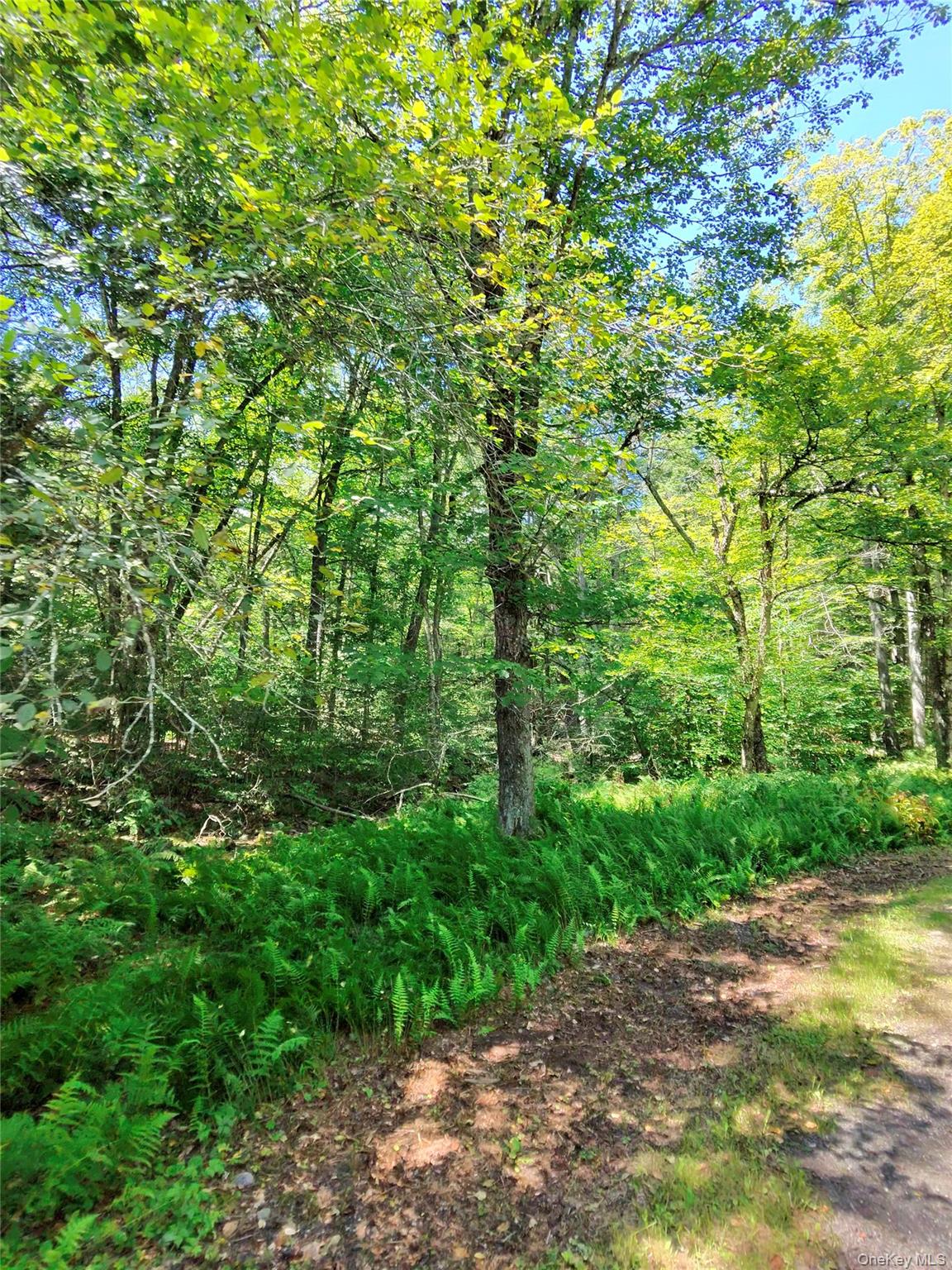 2735 Denning Road – For Sale photo 48