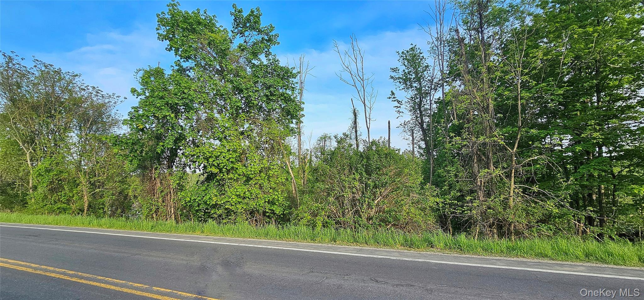 X Old Mountain Road – For Sale photo 8