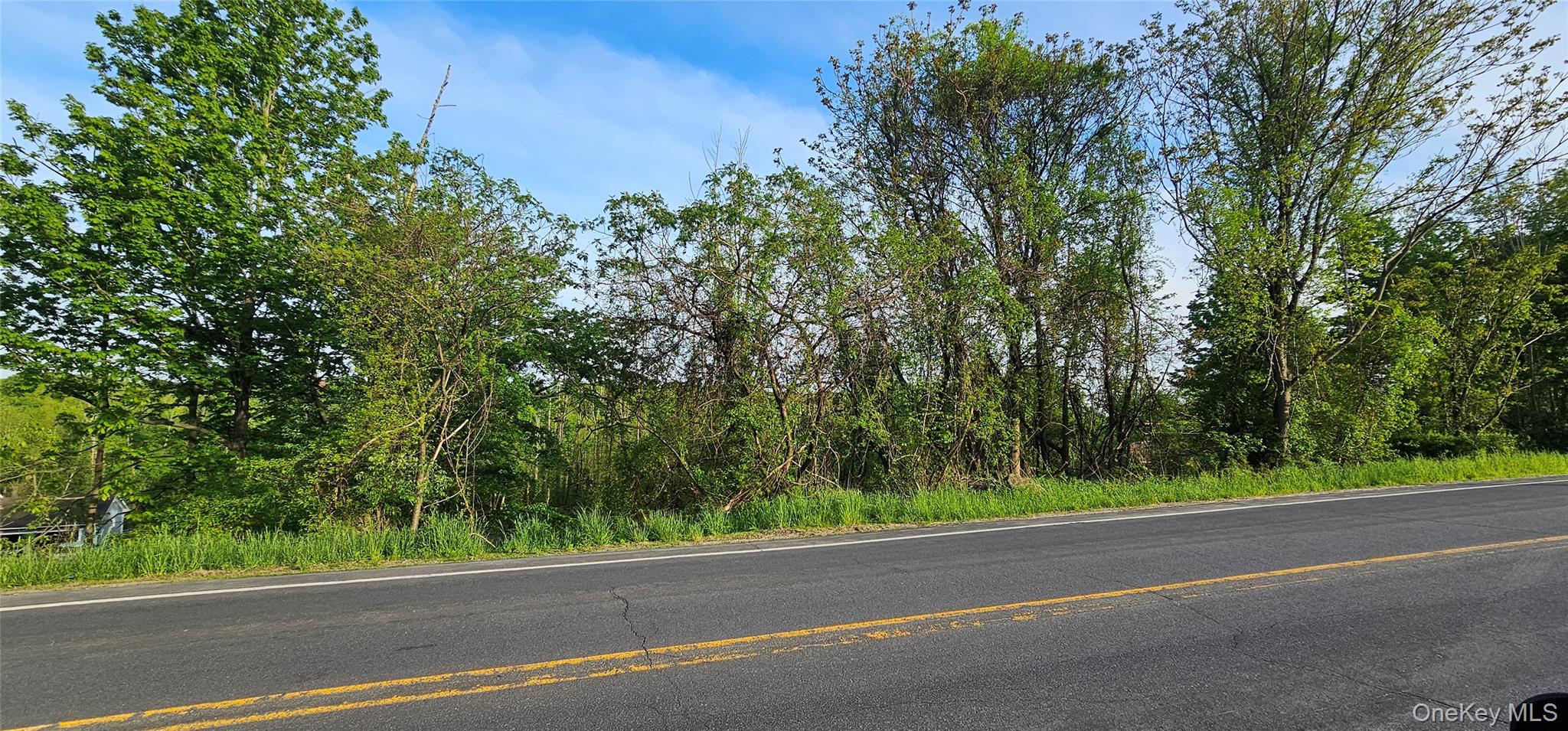 X Old Mountain Road – For Sale photo 5