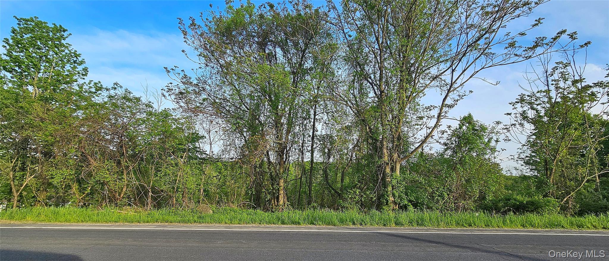 X Old Mountain Road – For Sale photo 6