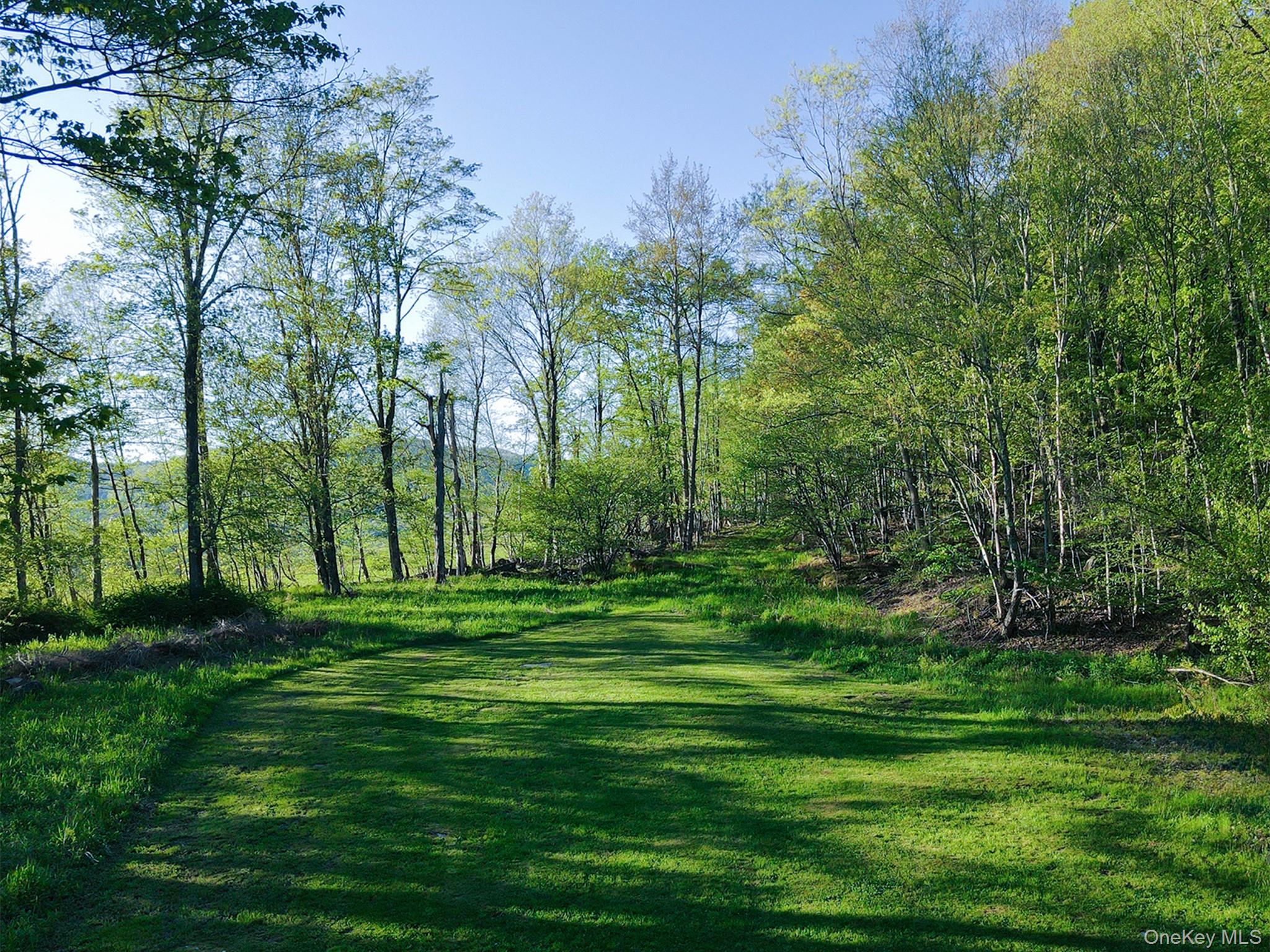 2182 Old Road 17 – For Sale photo 26