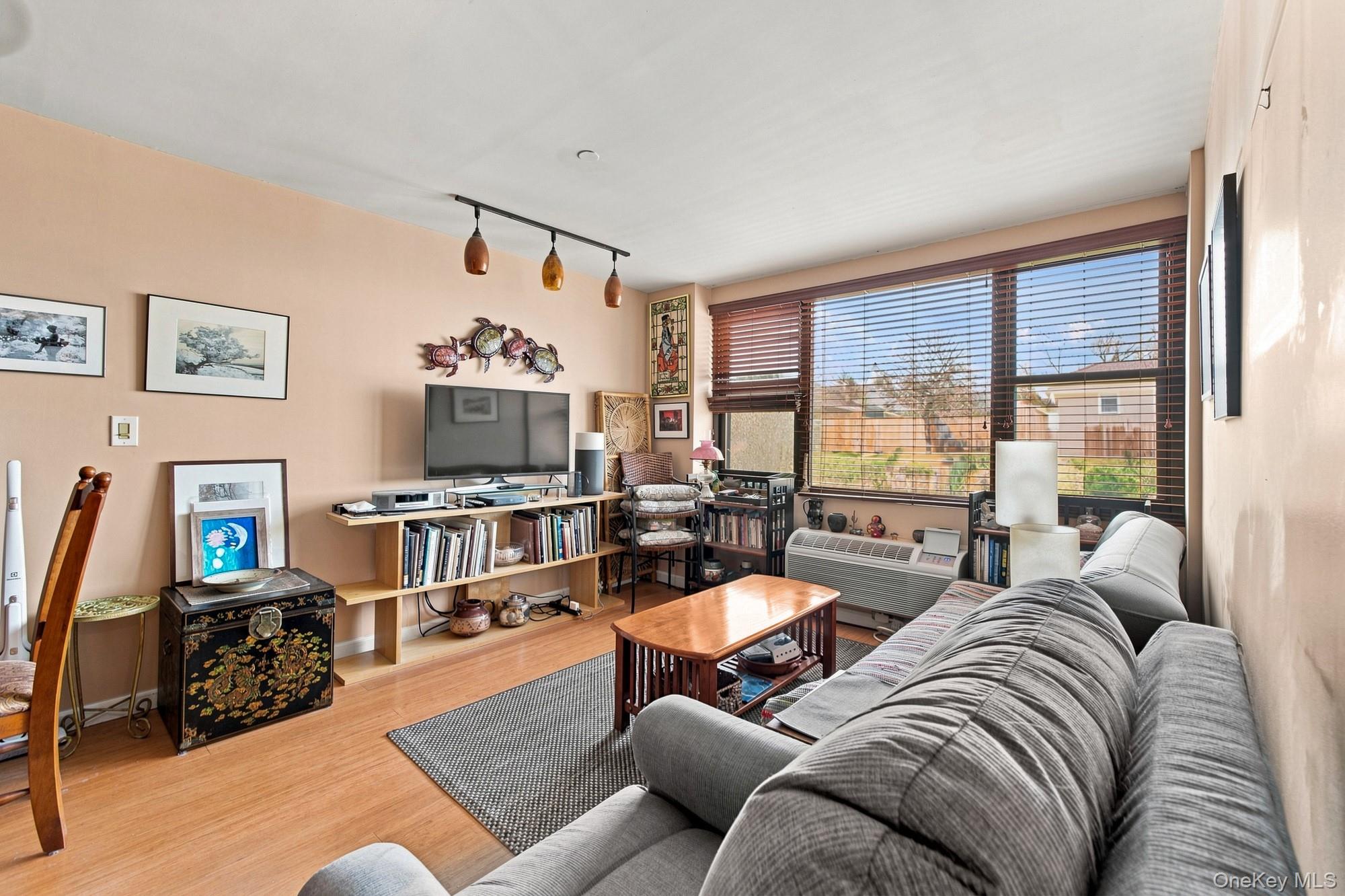 185 W Park Avenue, Unit 316 photo 9