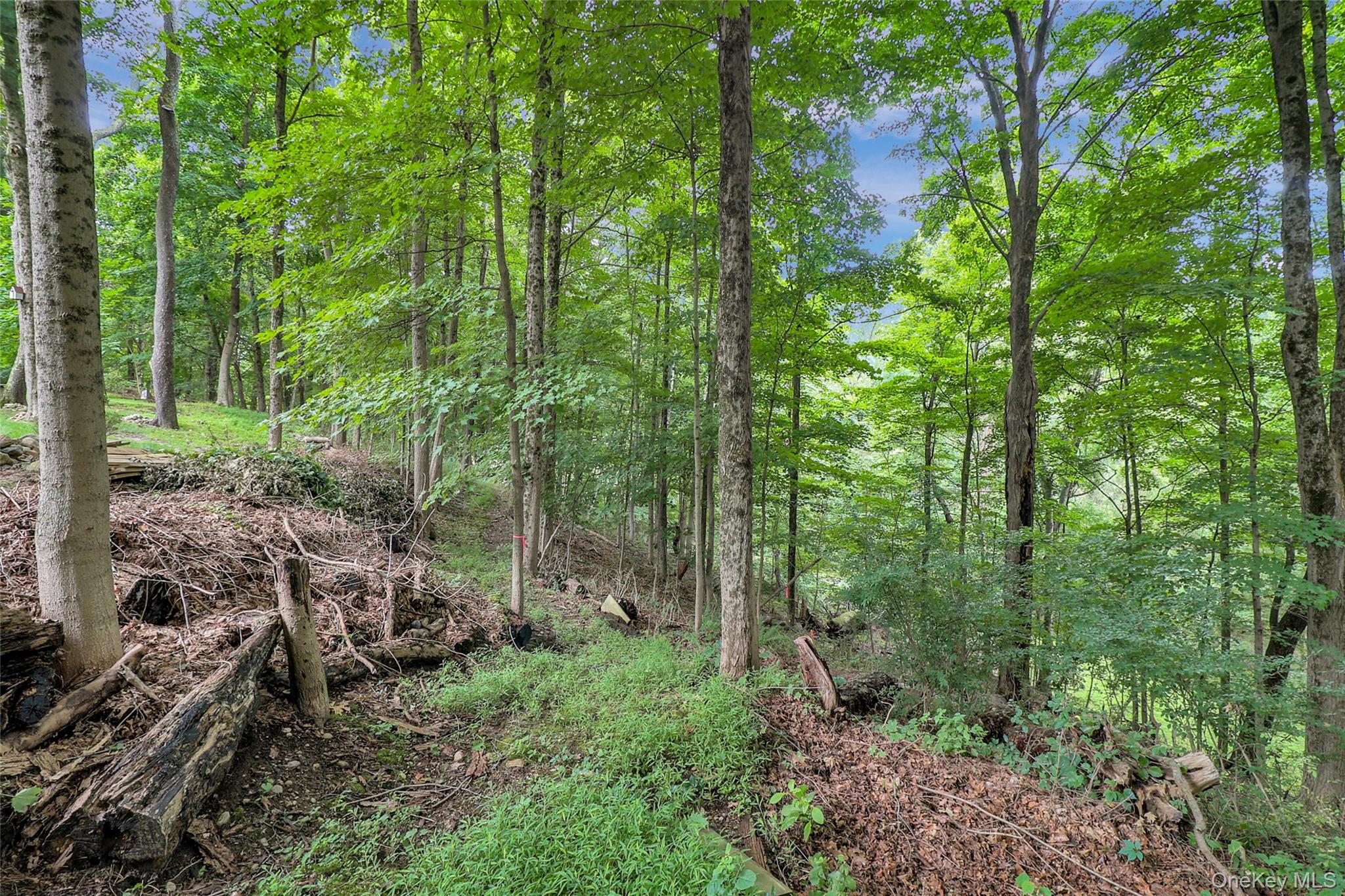 457 Saw Mill River Road – For Sale photo 6
