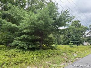 695 Big Pond Road – For Sale