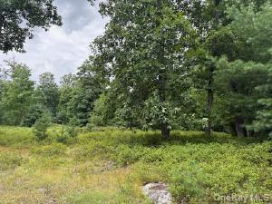 695 Big Pond Road – For Sale photo 3