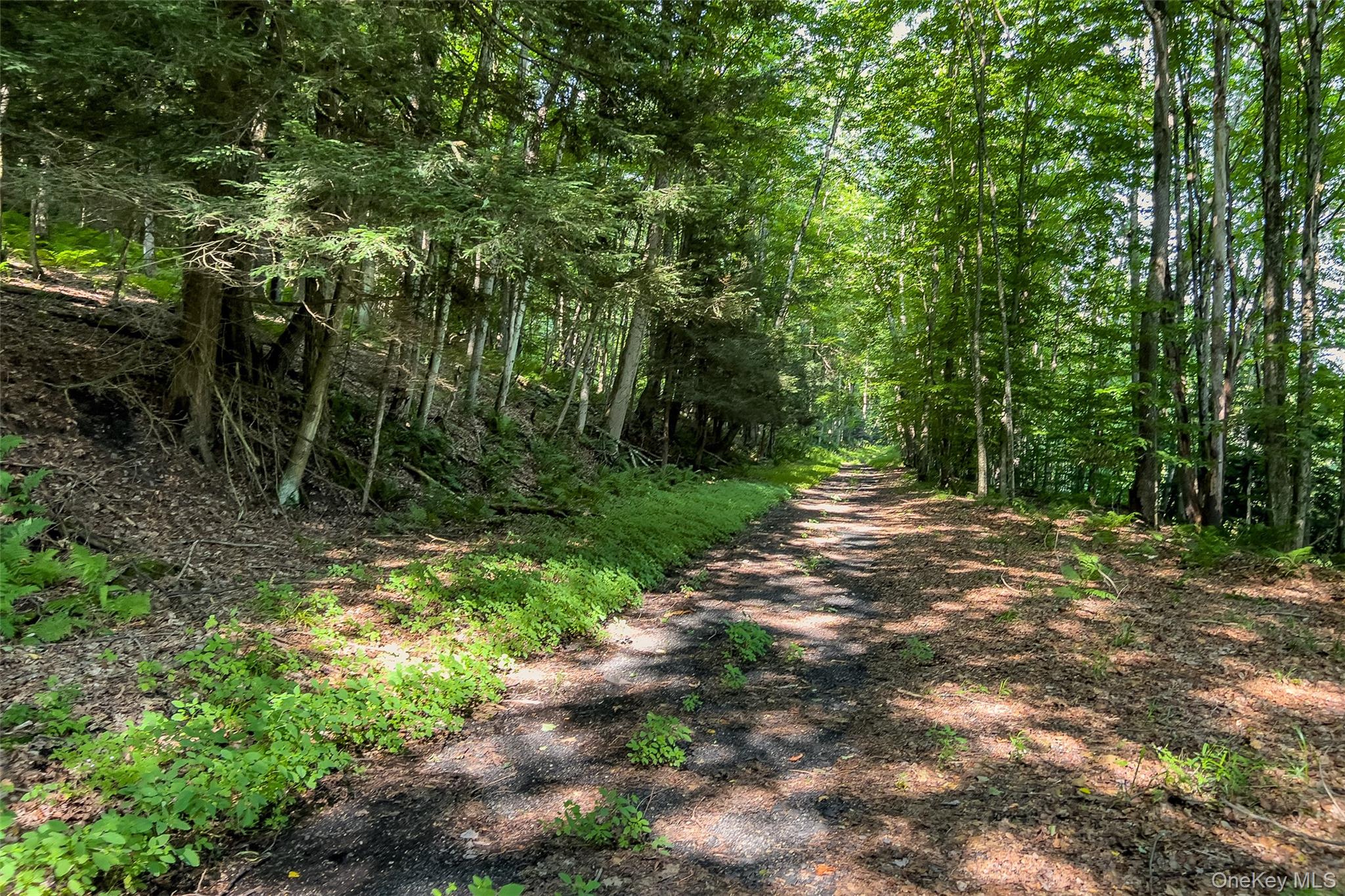 Lot #11 Franklin Depot Road – For Sale photo 27