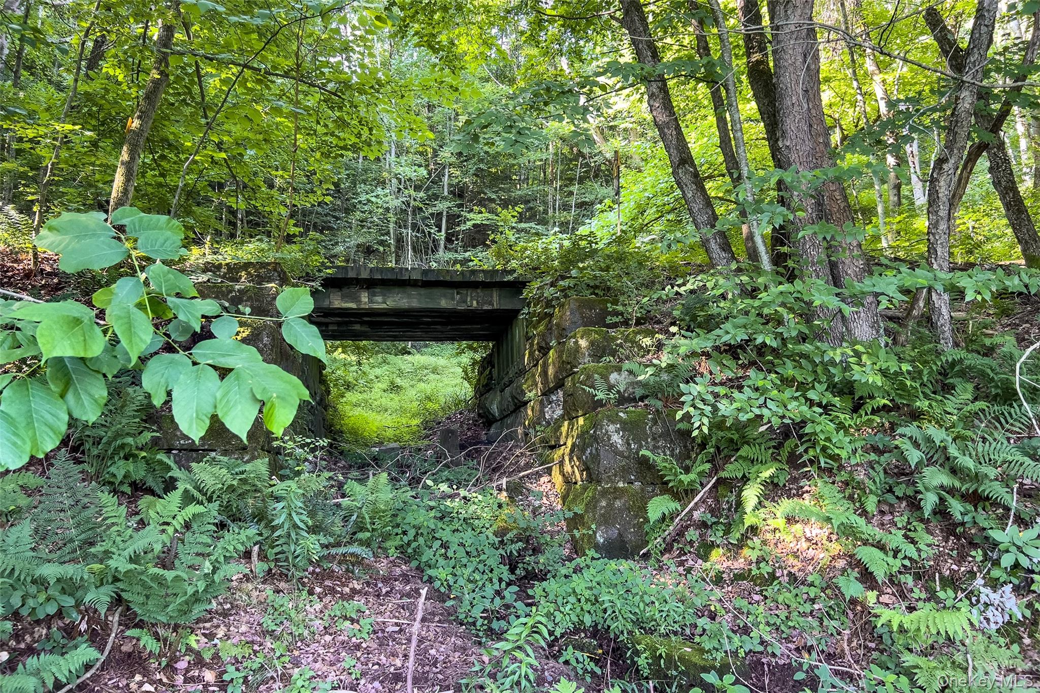 Lot #11 Franklin Depot Road – For Sale photo 28