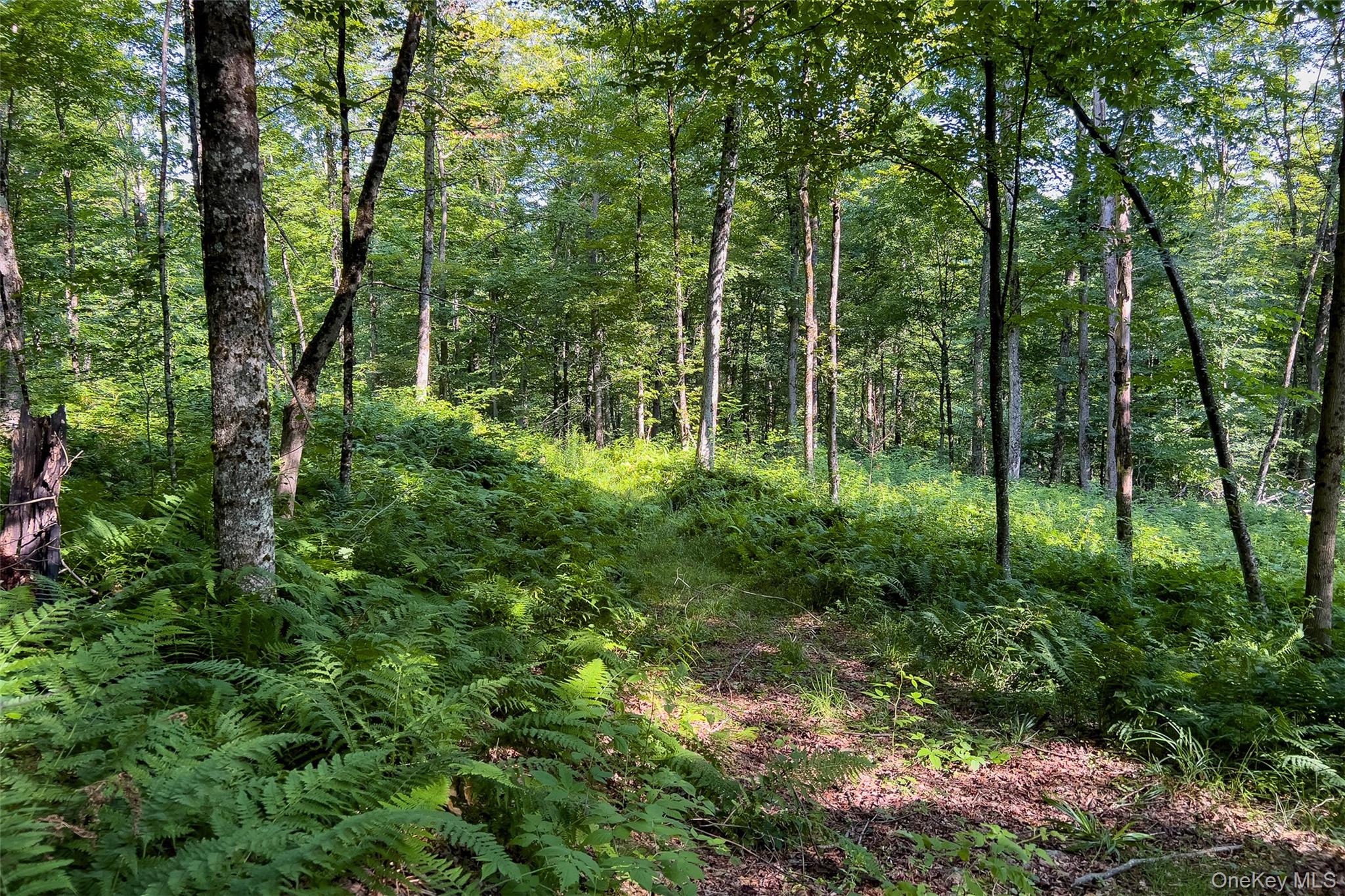 Lot #11 Franklin Depot Road – For Sale photo 35