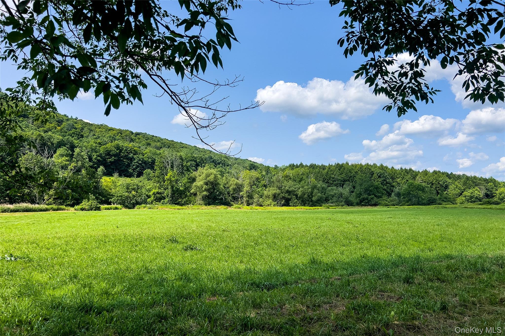 Lot #11 Franklin Depot Road – For Sale photo 9