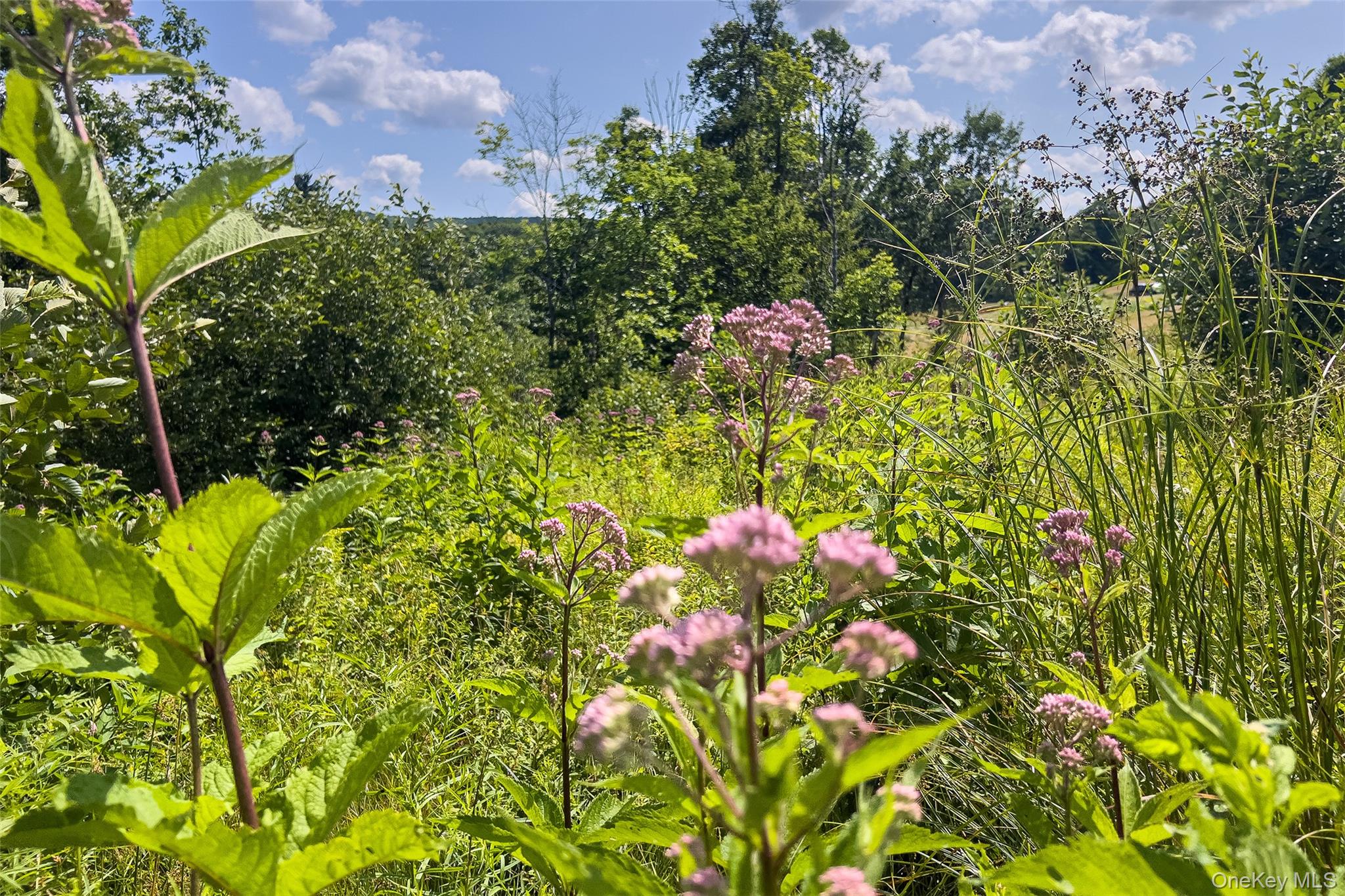 Lot #11 Franklin Depot Road – For Sale photo 23