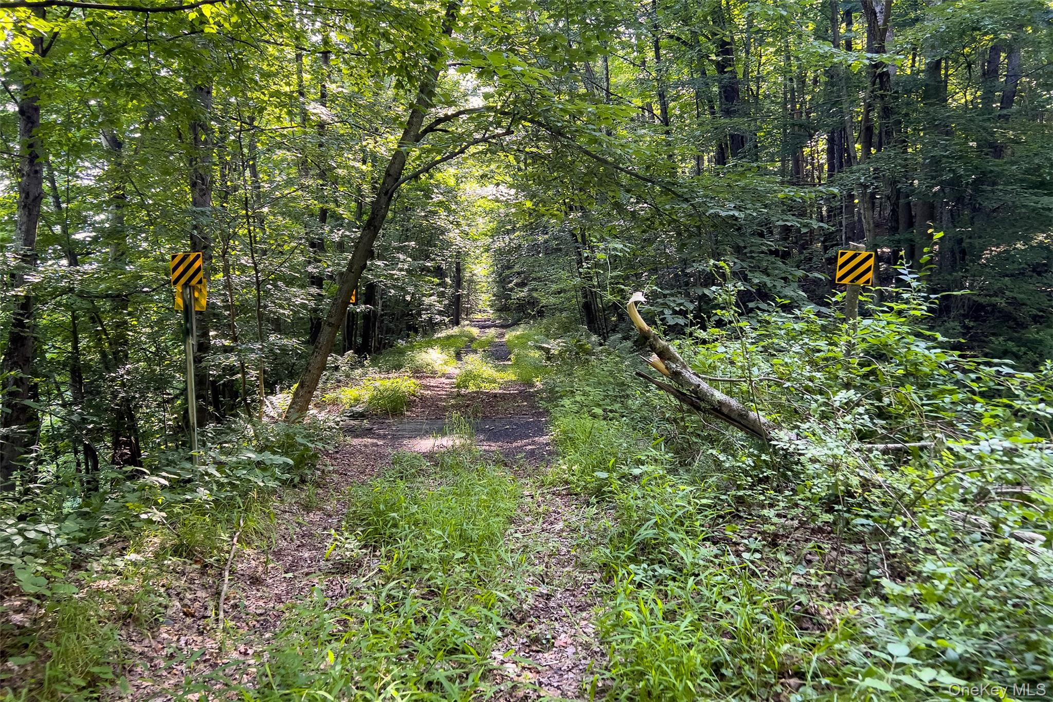 Lot #11 Franklin Depot Road – For Sale photo 30