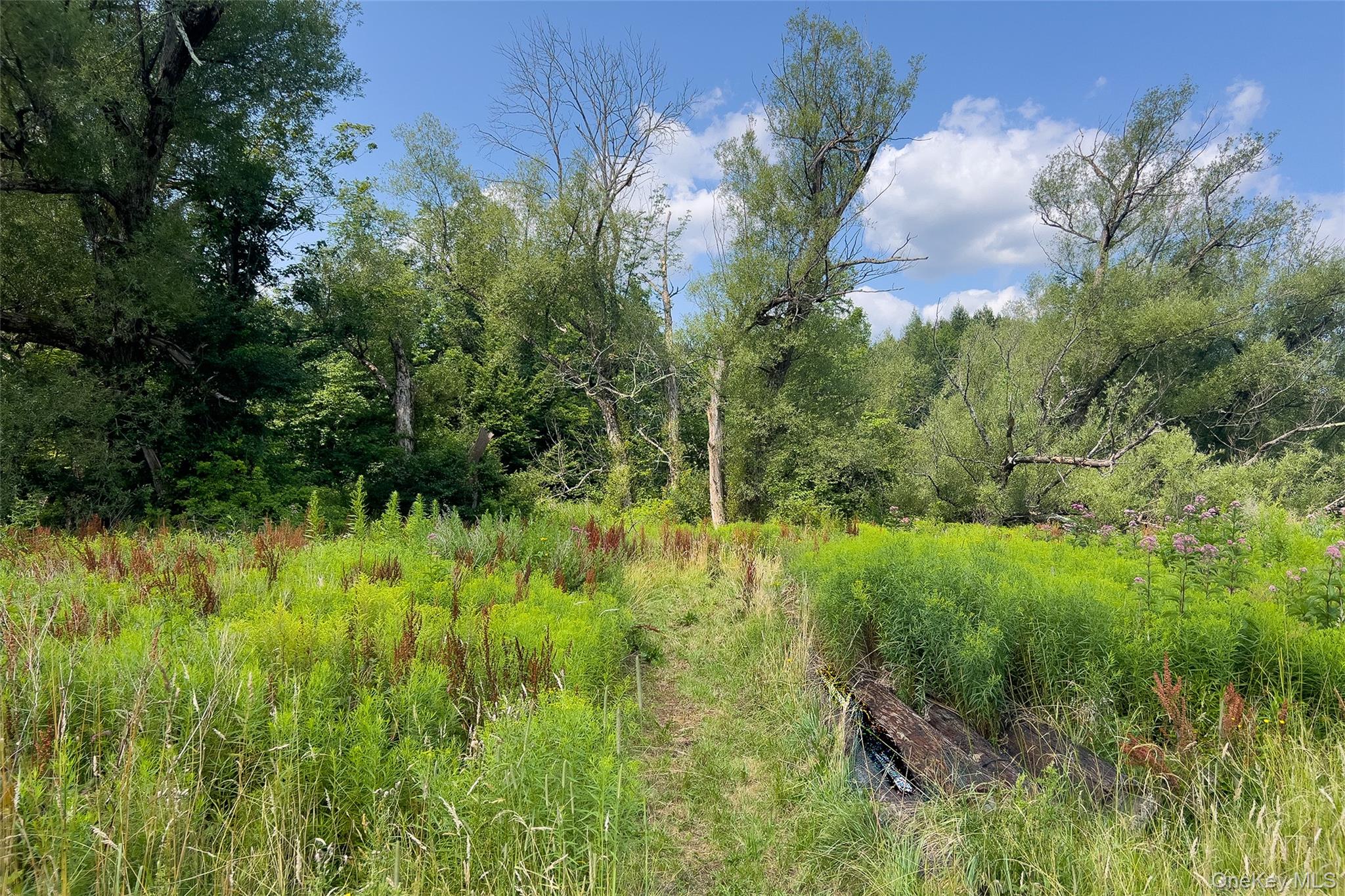 Lot #11 Franklin Depot Road – For Sale photo 12