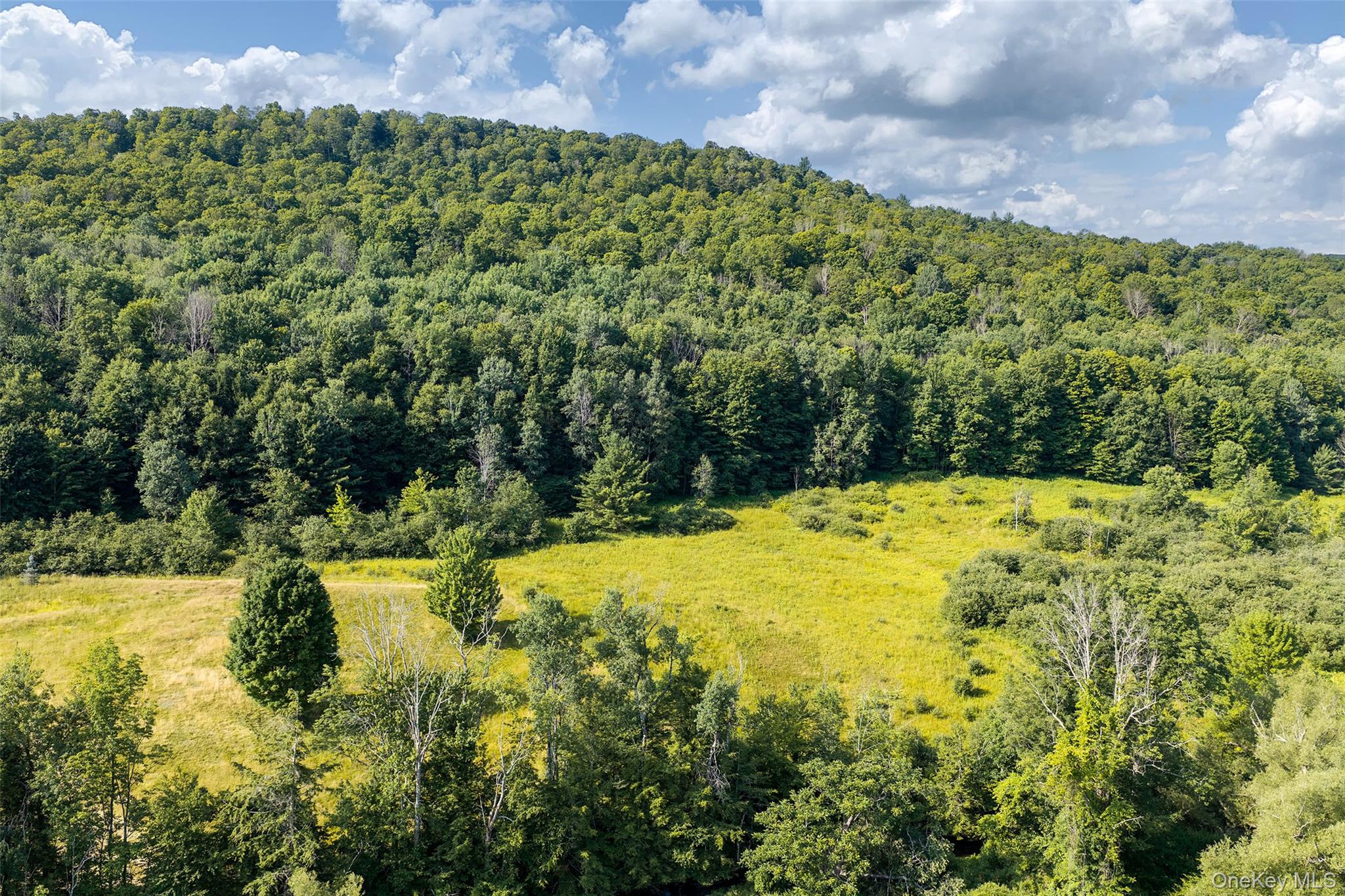 Lot #11 Franklin Depot Road – For Sale photo 5