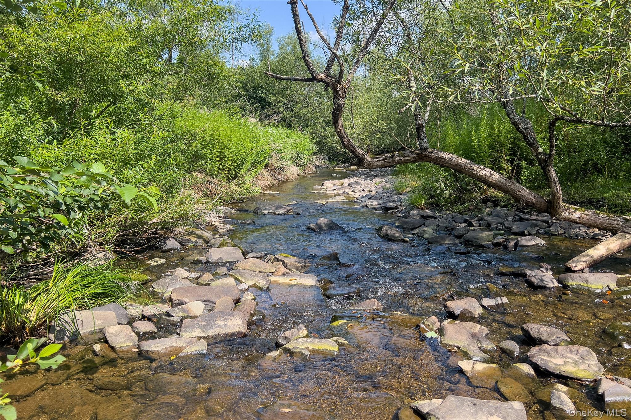 Lot #11 Franklin Depot Road – For Sale photo 16
