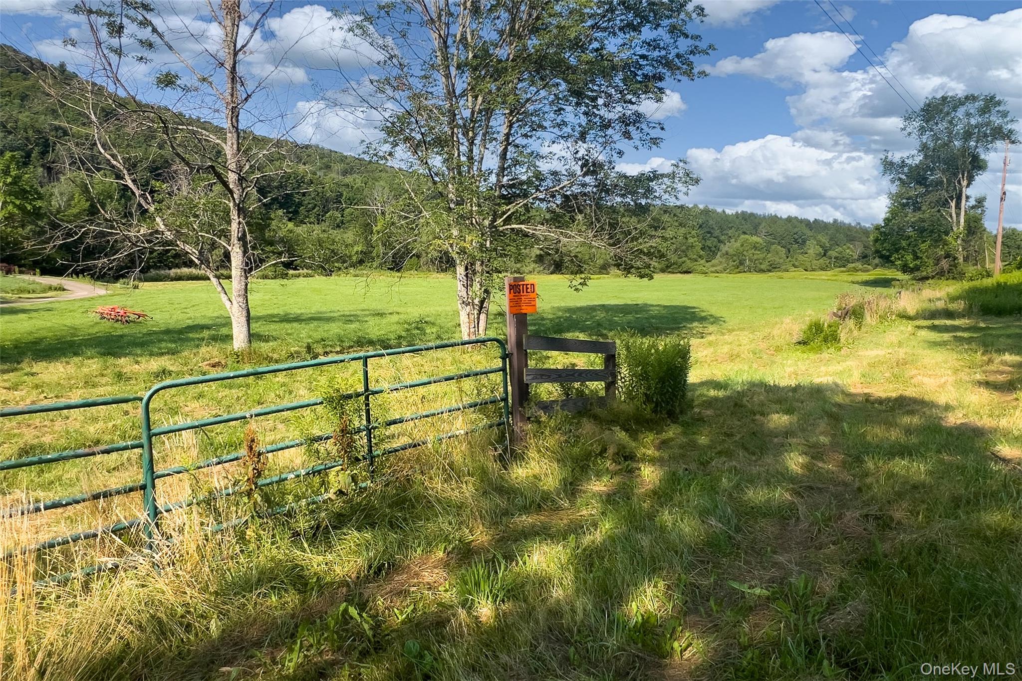 Lot #11 Franklin Depot Road – For Sale photo 7