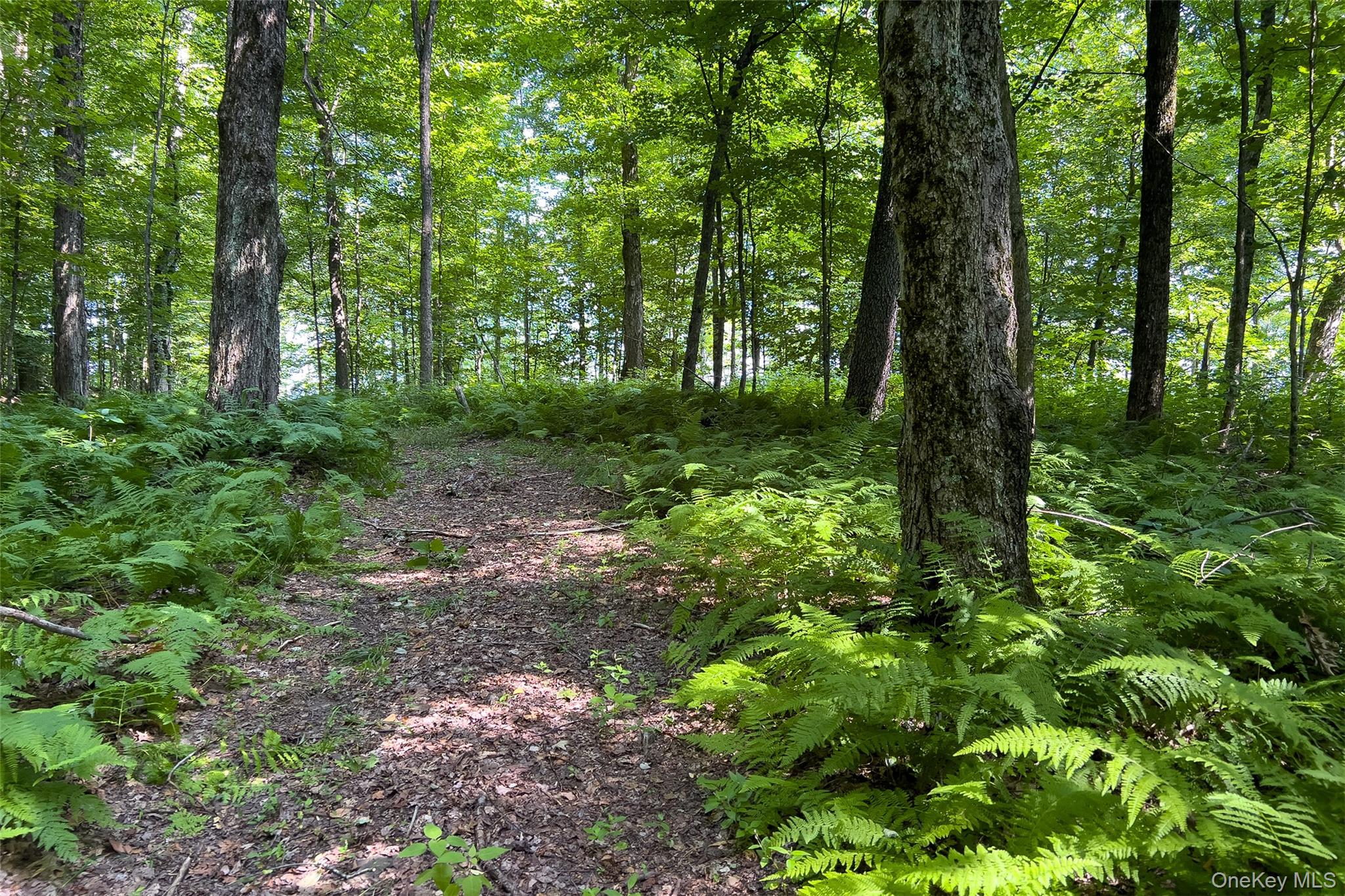 Lot #11 Franklin Depot Road – For Sale photo 39