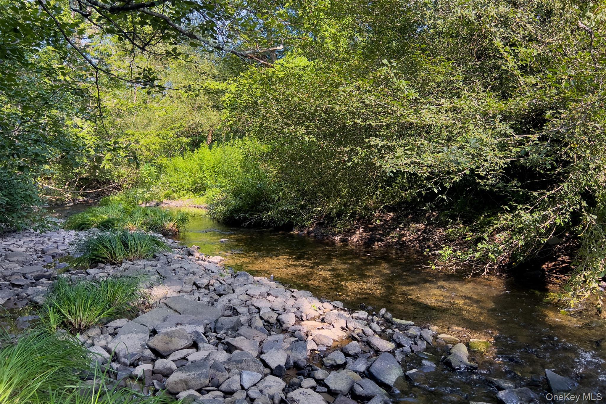 Lot #11 Franklin Depot Road – For Sale photo 19