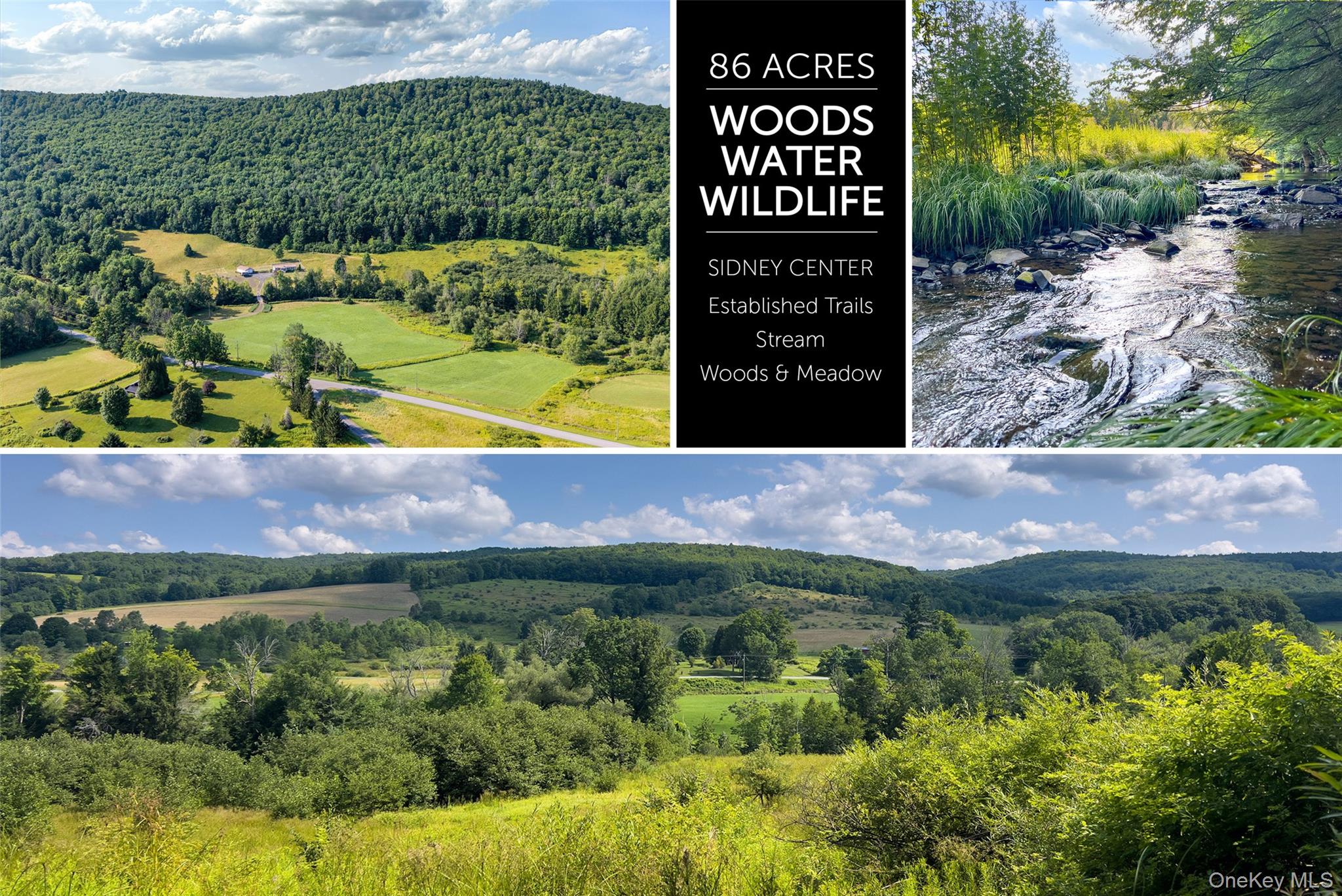 Lot #11 Franklin Depot Road – For Sale