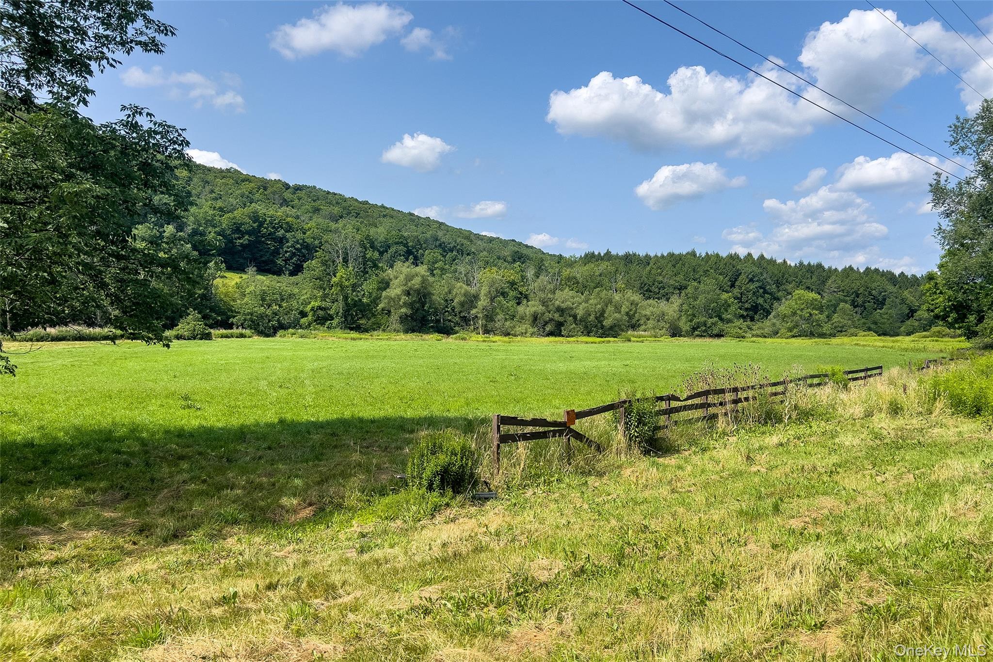 Lot #11 Franklin Depot Road – For Sale photo 10