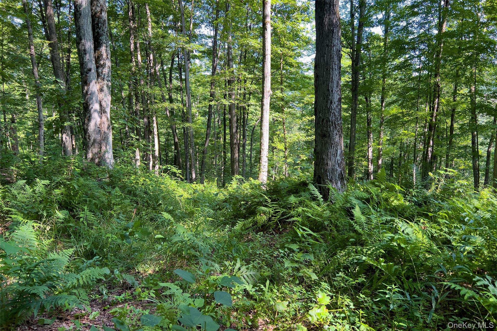 Lot #11 Franklin Depot Road – For Sale photo 33