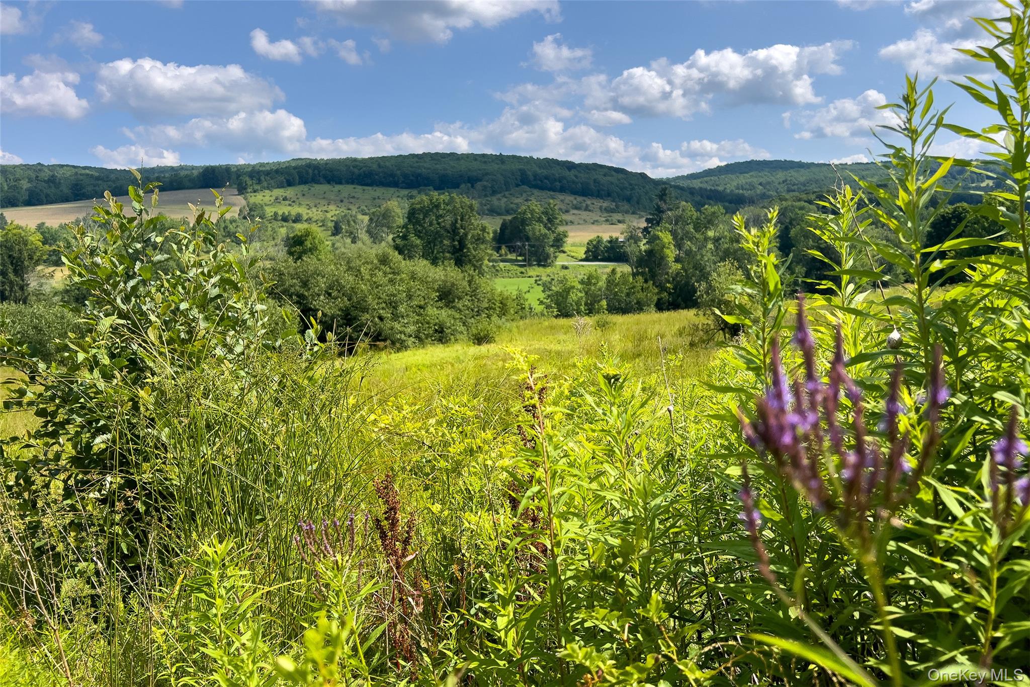 Lot #11 Franklin Depot Road – For Sale photo 25