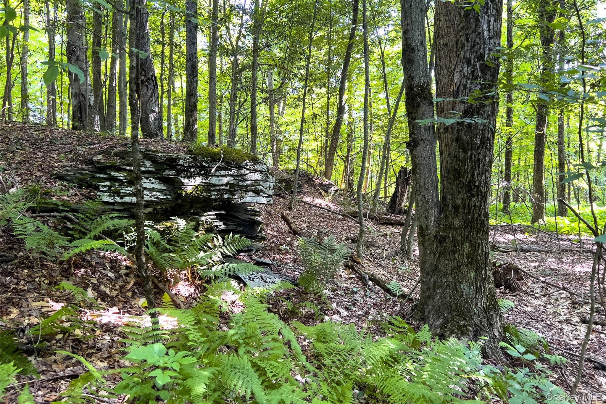 Lot #11 Franklin Depot Road – For Sale photo 36