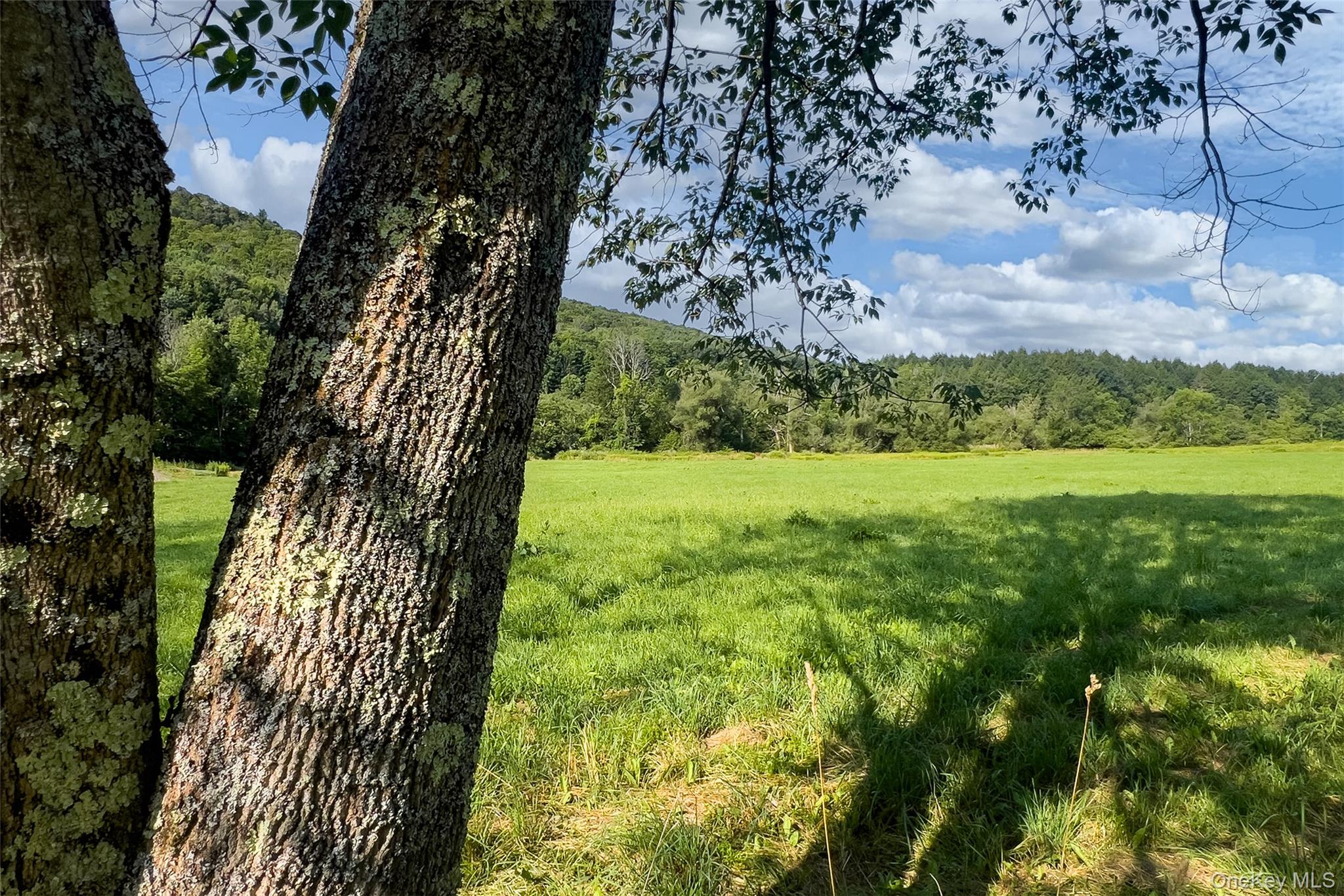 Lot #11 Franklin Depot Road – For Sale photo 8