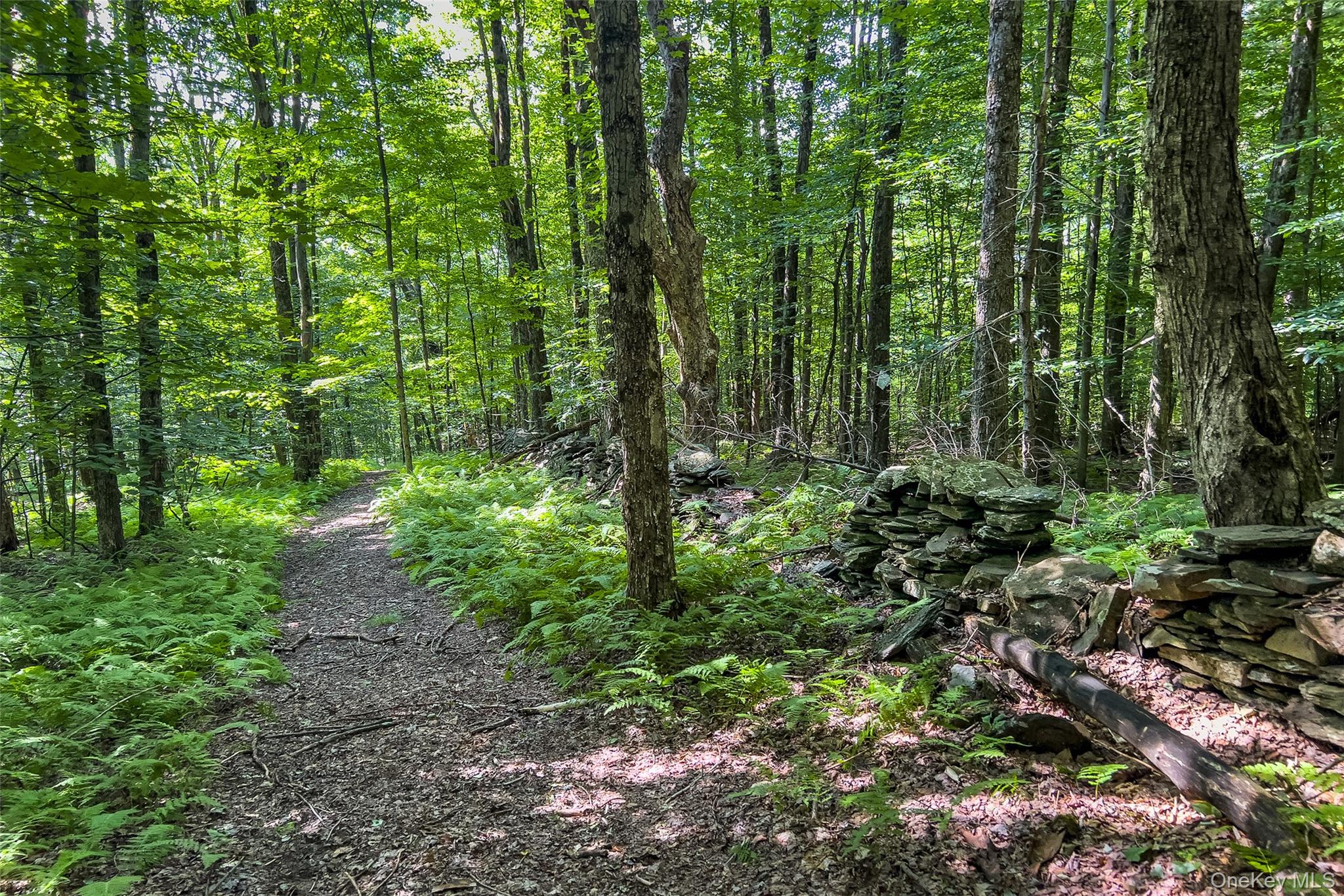 Lot #11 Franklin Depot Road – For Sale photo 41