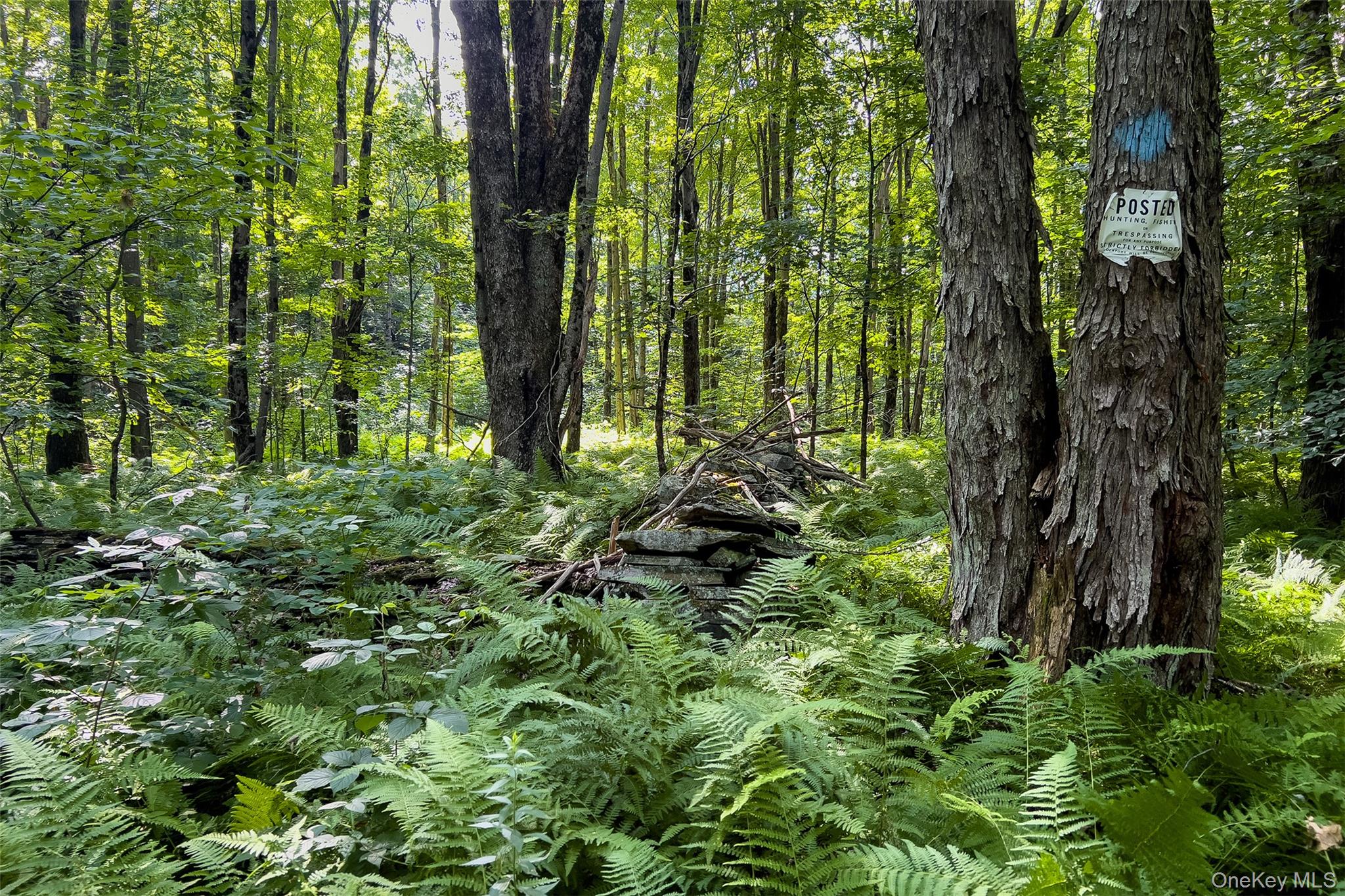 Lot #11 Franklin Depot Road – For Sale photo 42