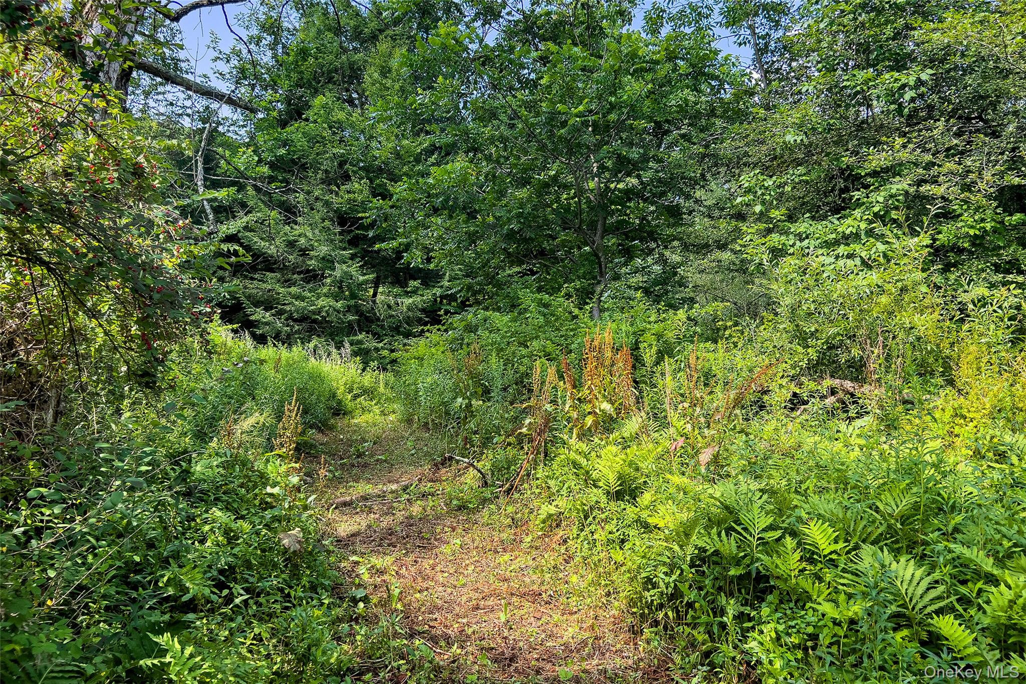Lot #11 Franklin Depot Road – For Sale photo 14