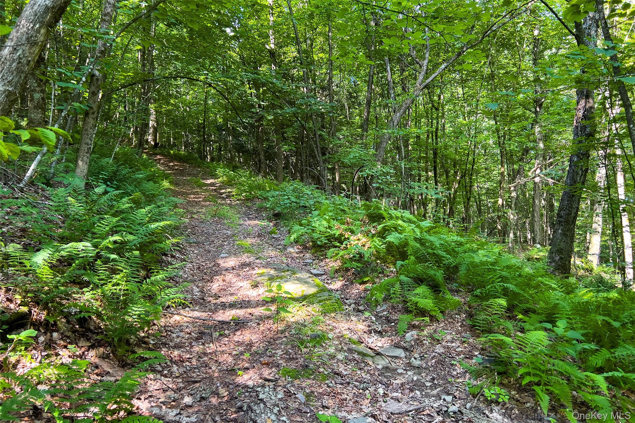 Lot #11 Franklin Depot Road – For Sale photo 44