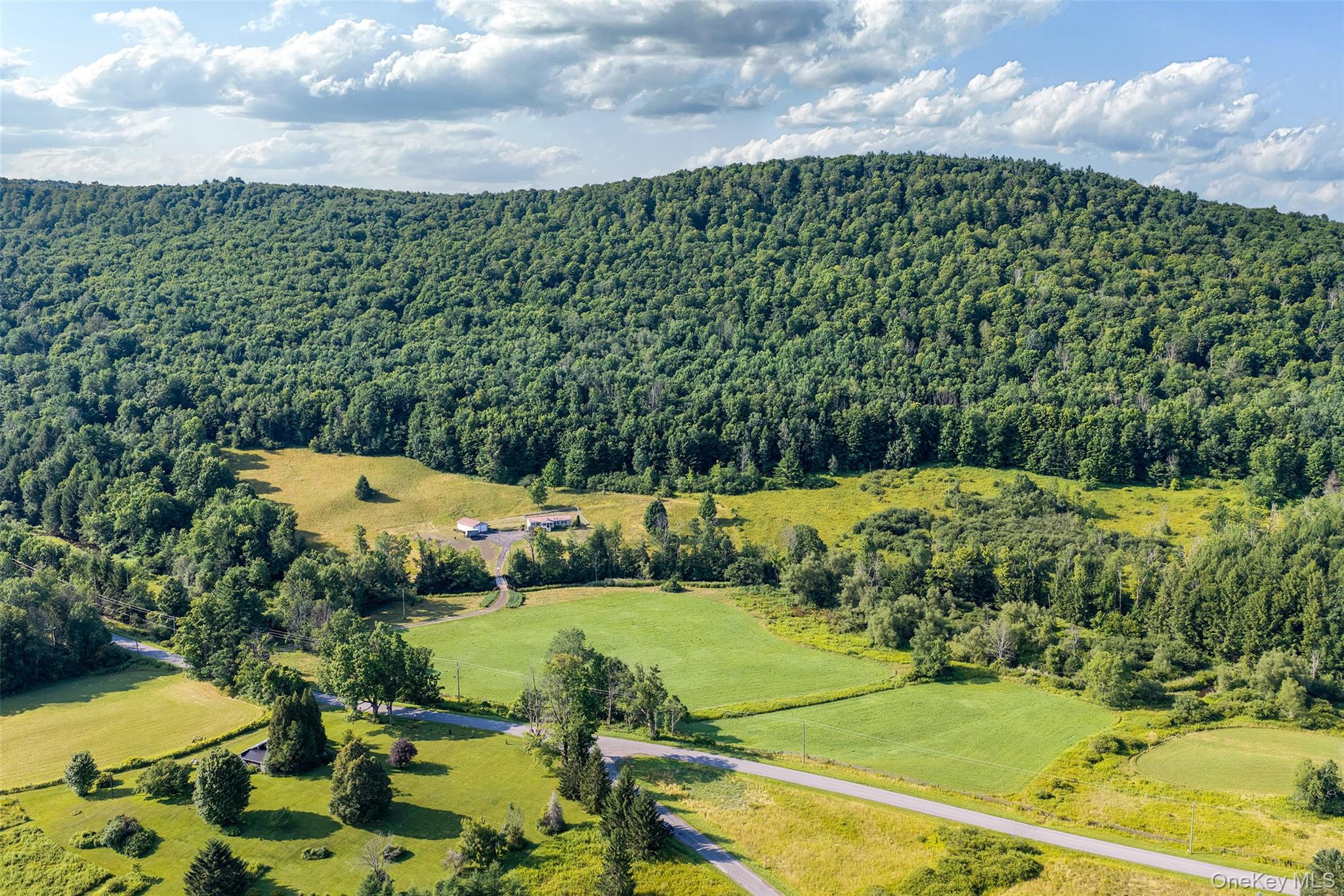 Lot #11 Franklin Depot Road – For Sale photo 4