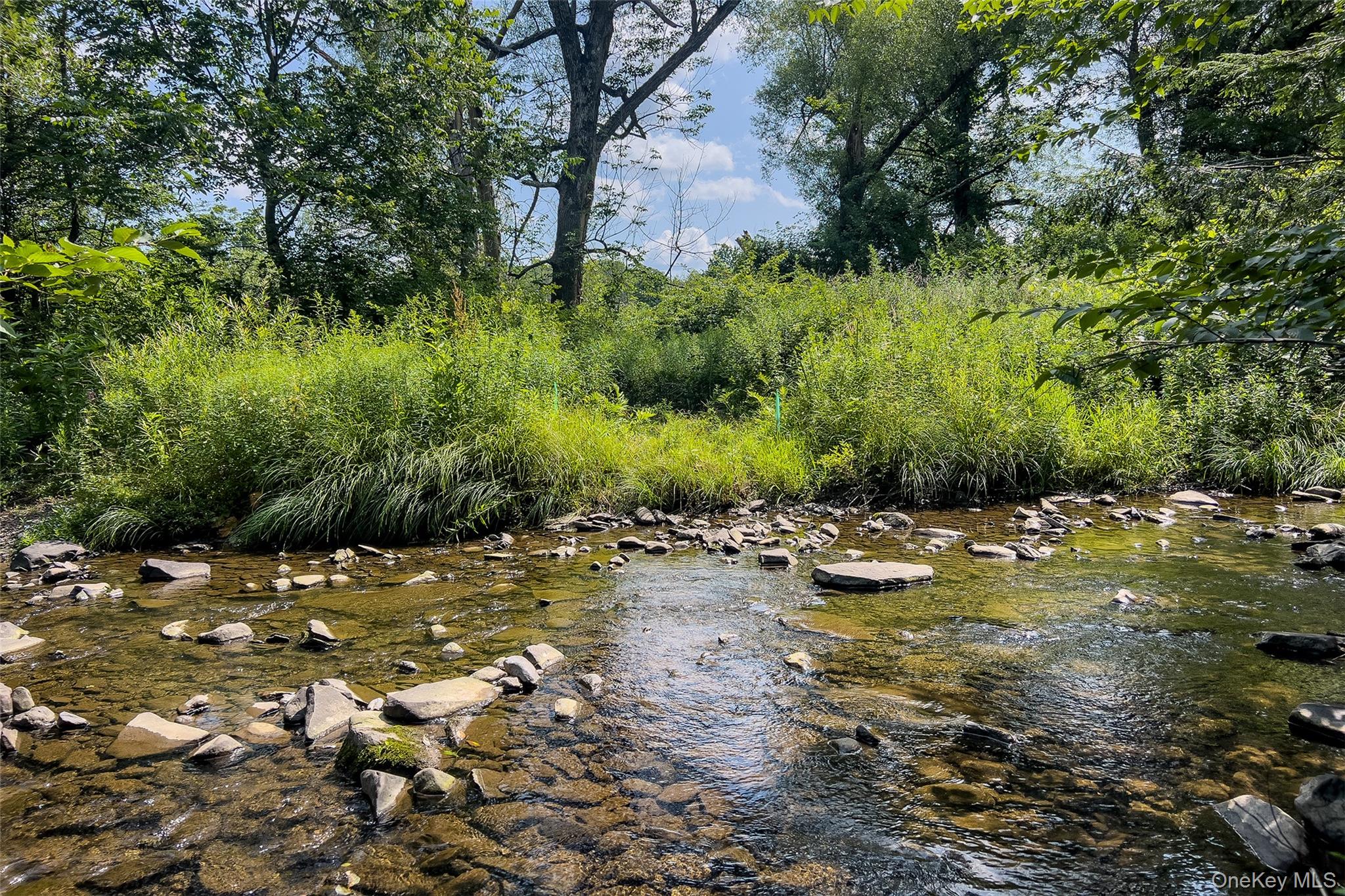 Lot #11 Franklin Depot Road – For Sale photo 17