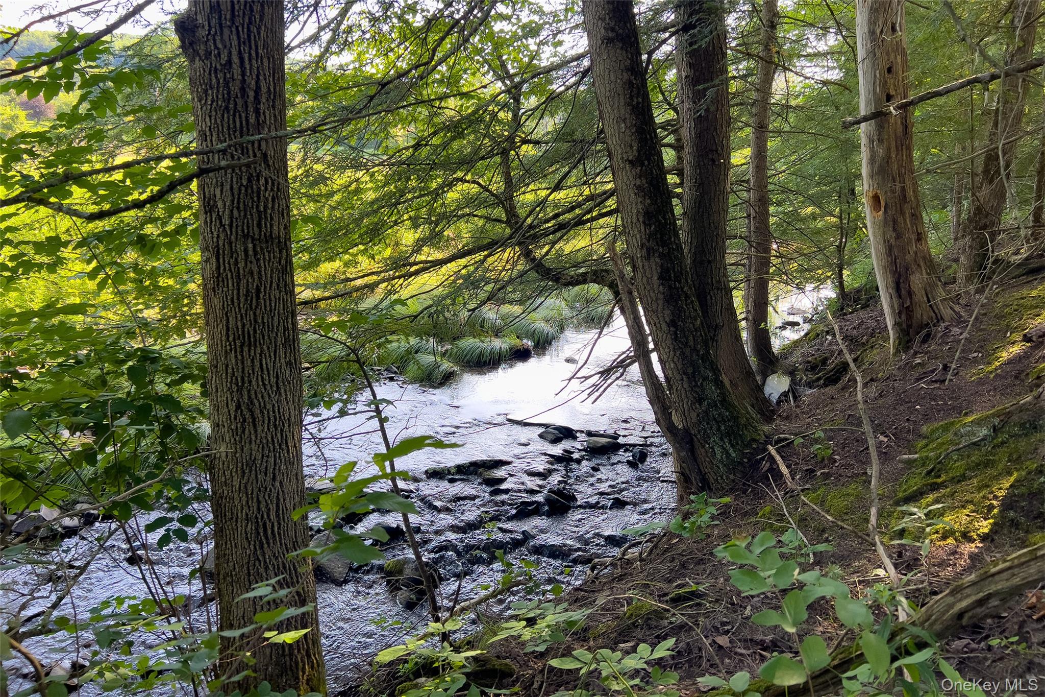 Lot #11 Franklin Depot Road – For Sale photo 20