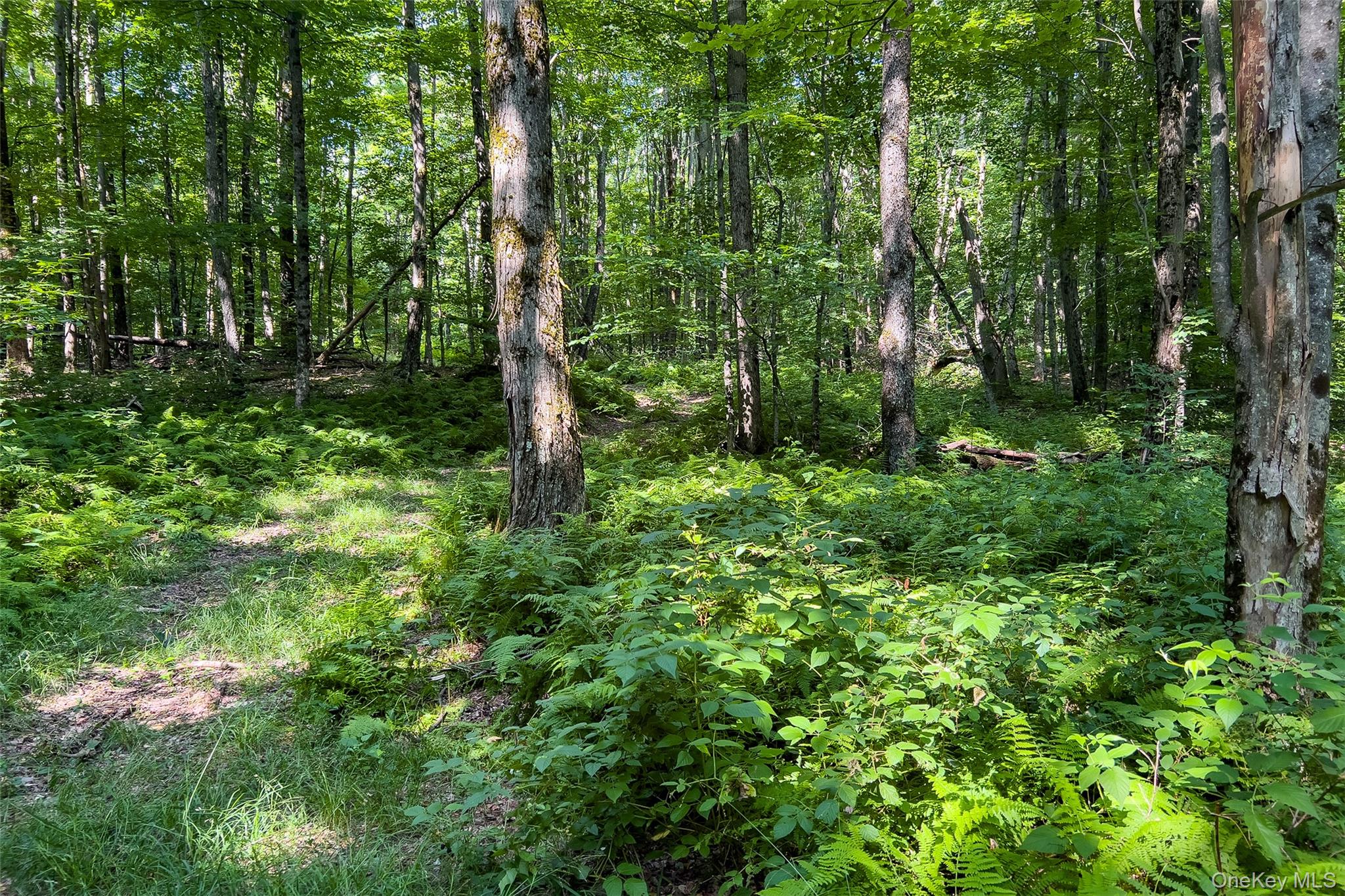 Lot #11 Franklin Depot Road – For Sale photo 43