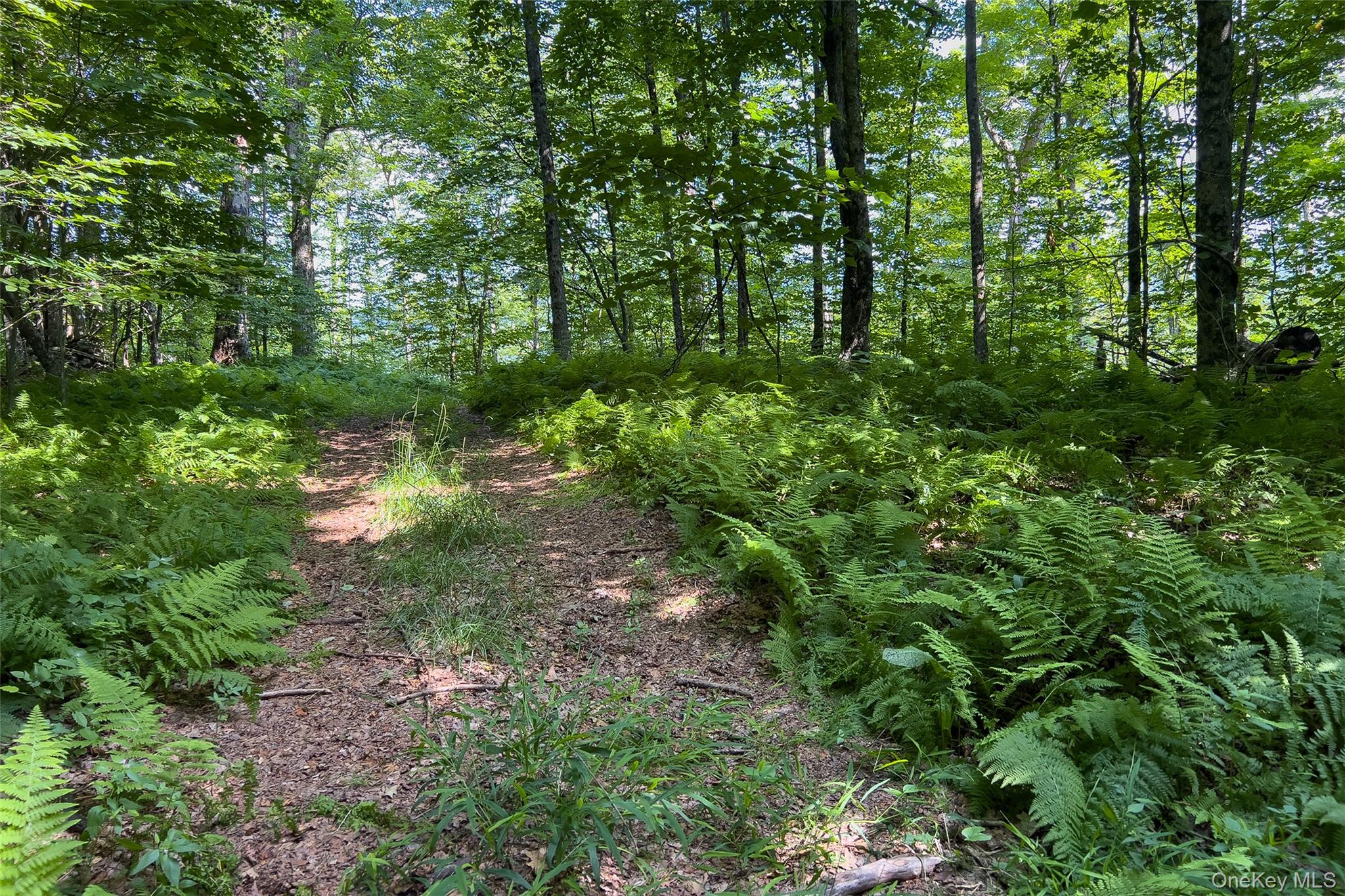 Lot #11 Franklin Depot Road – For Sale photo 40
