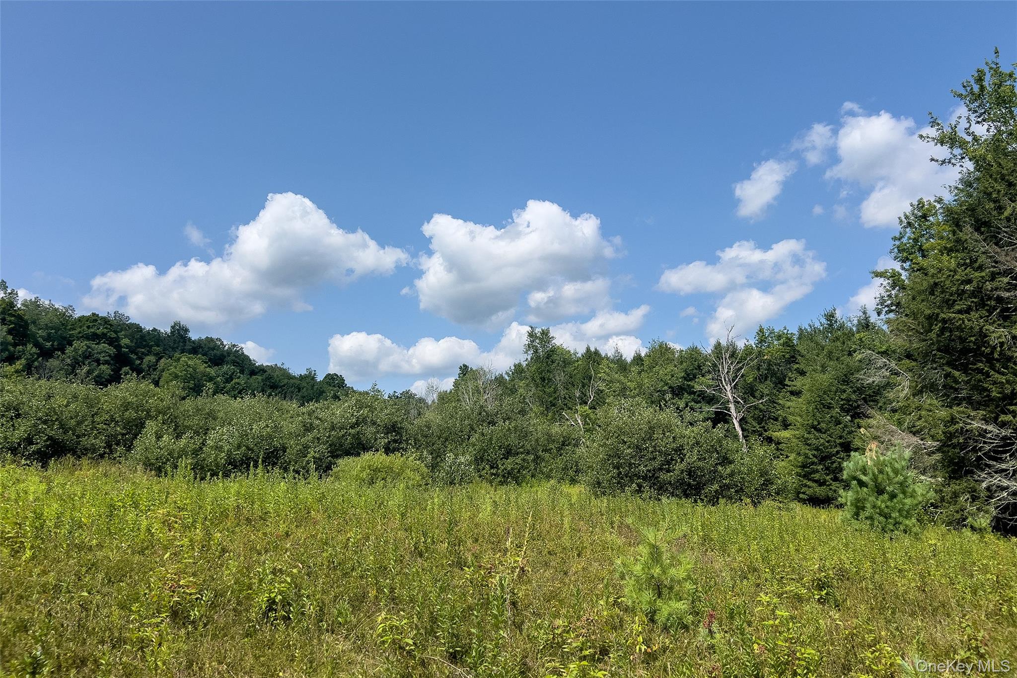 Lot #11 Franklin Depot Road – For Sale photo 22