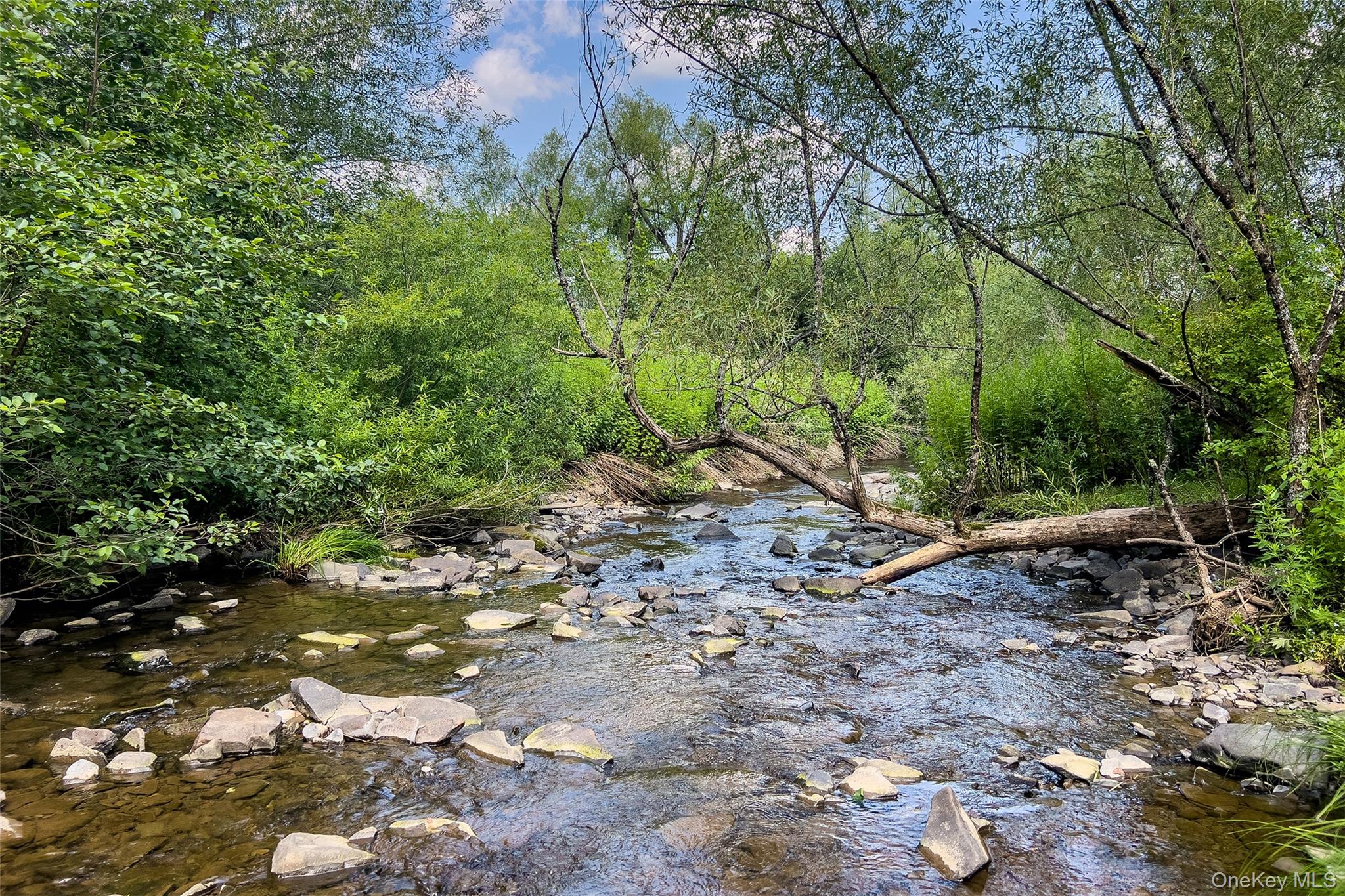 Lot #11 Franklin Depot Road – For Sale photo 15