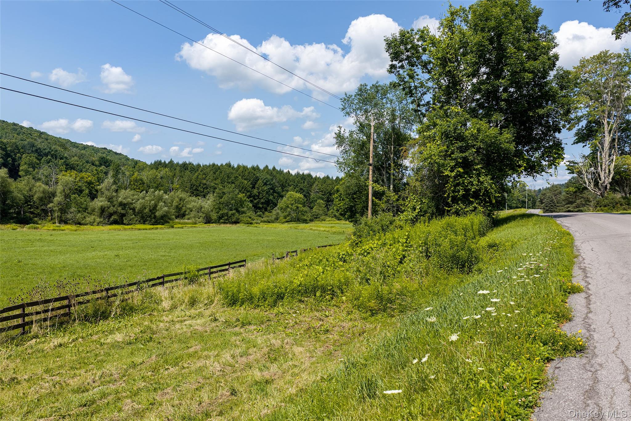 Lot #11 Franklin Depot Road – For Sale photo 6