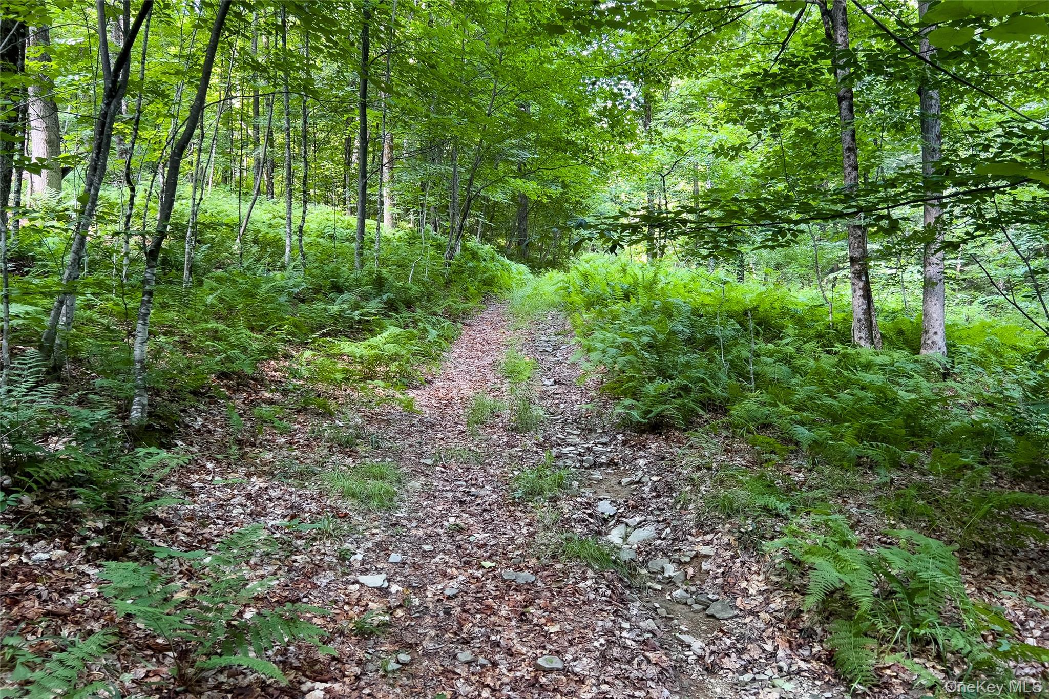 Lot #11 Franklin Depot Road – For Sale photo 45