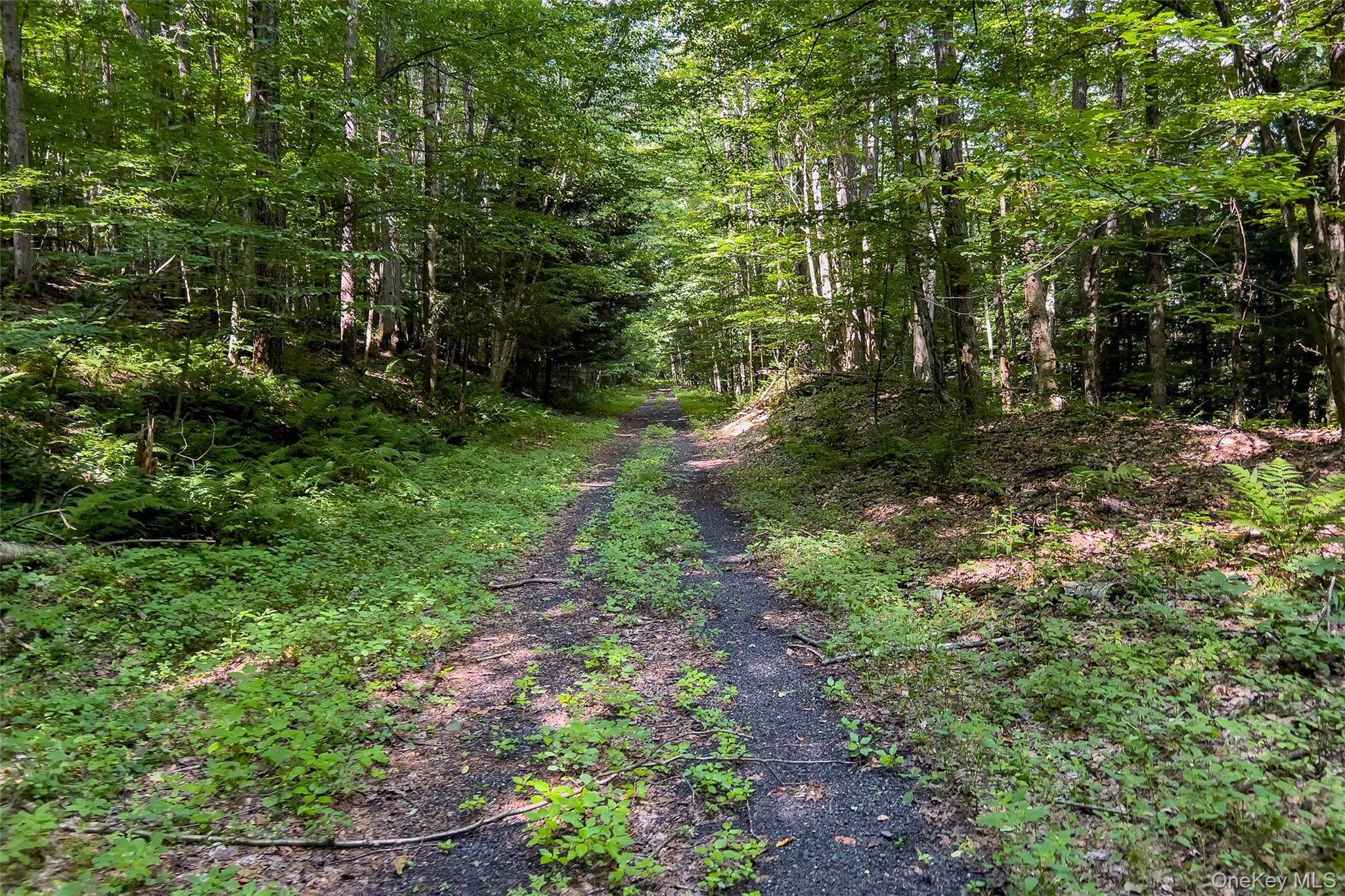 Lot #11 Franklin Depot Road – For Sale photo 49