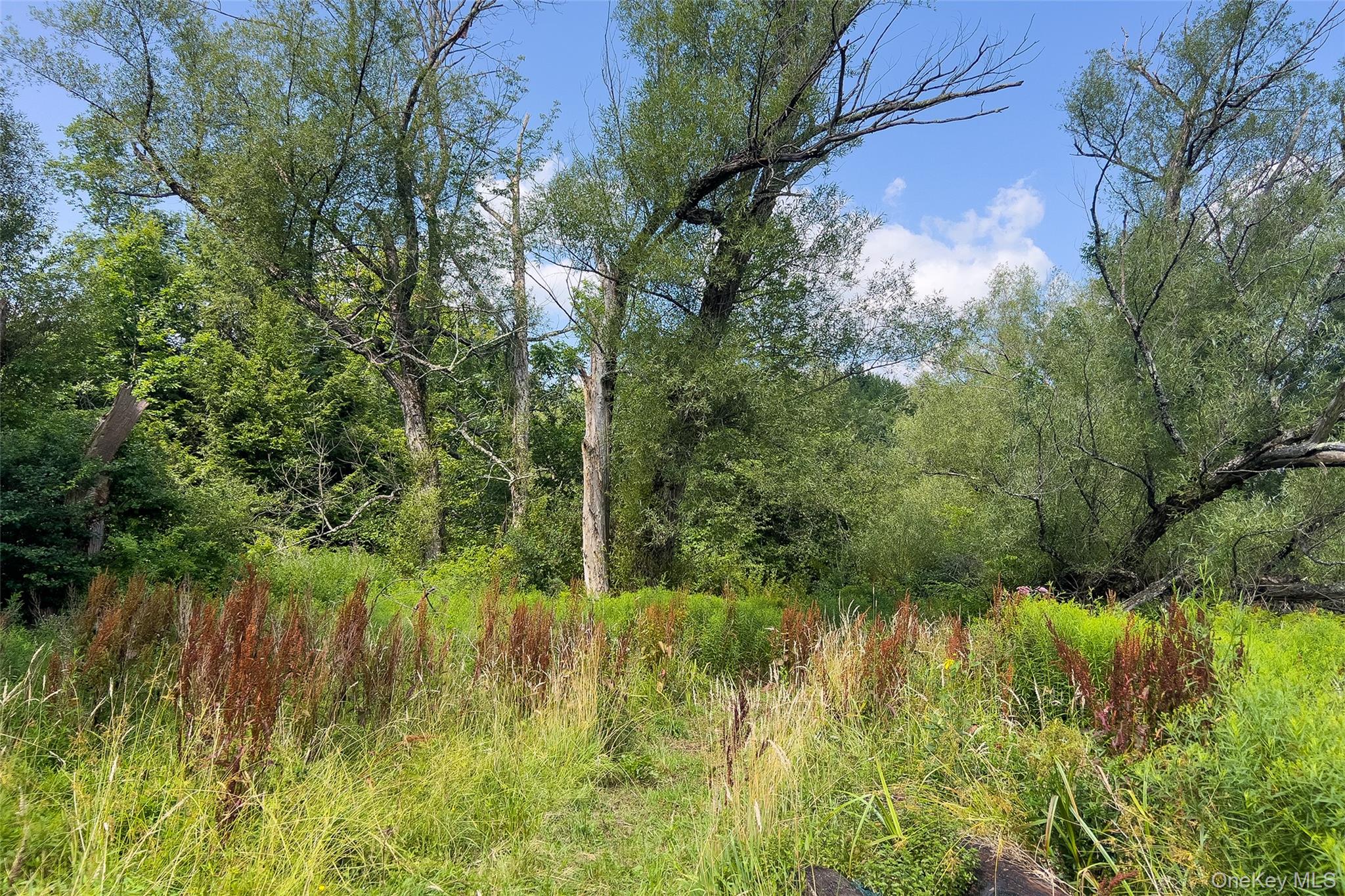 Lot #11 Franklin Depot Road – For Sale photo 13
