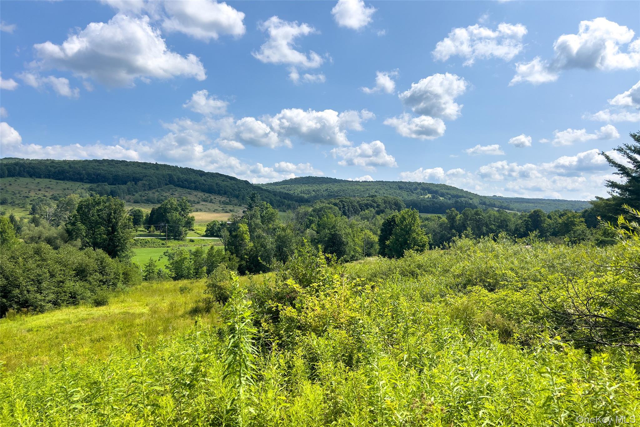 Lot #11 Franklin Depot Road – For Sale photo 24