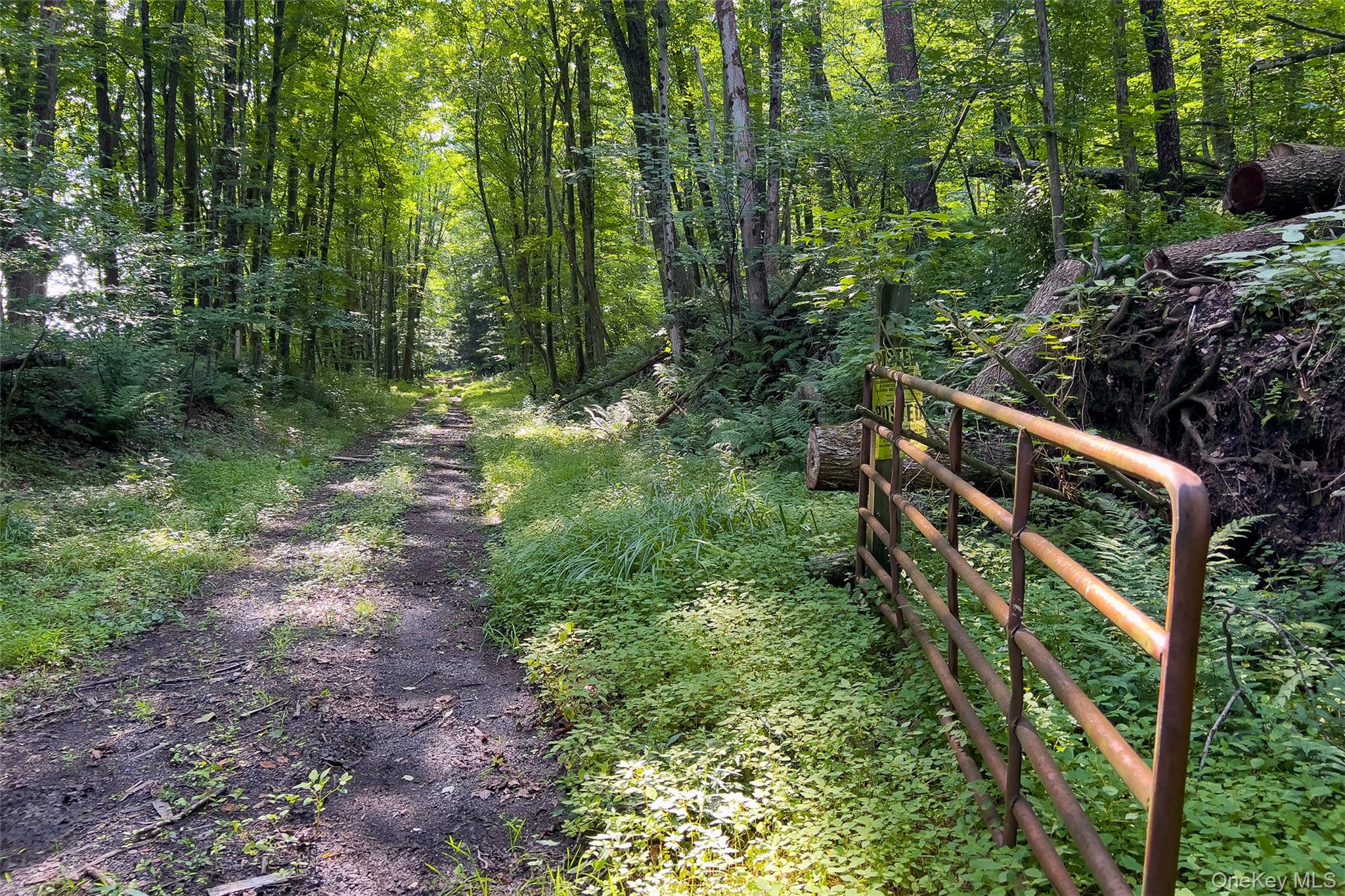 Lot #11 Franklin Depot Road – For Sale photo 26