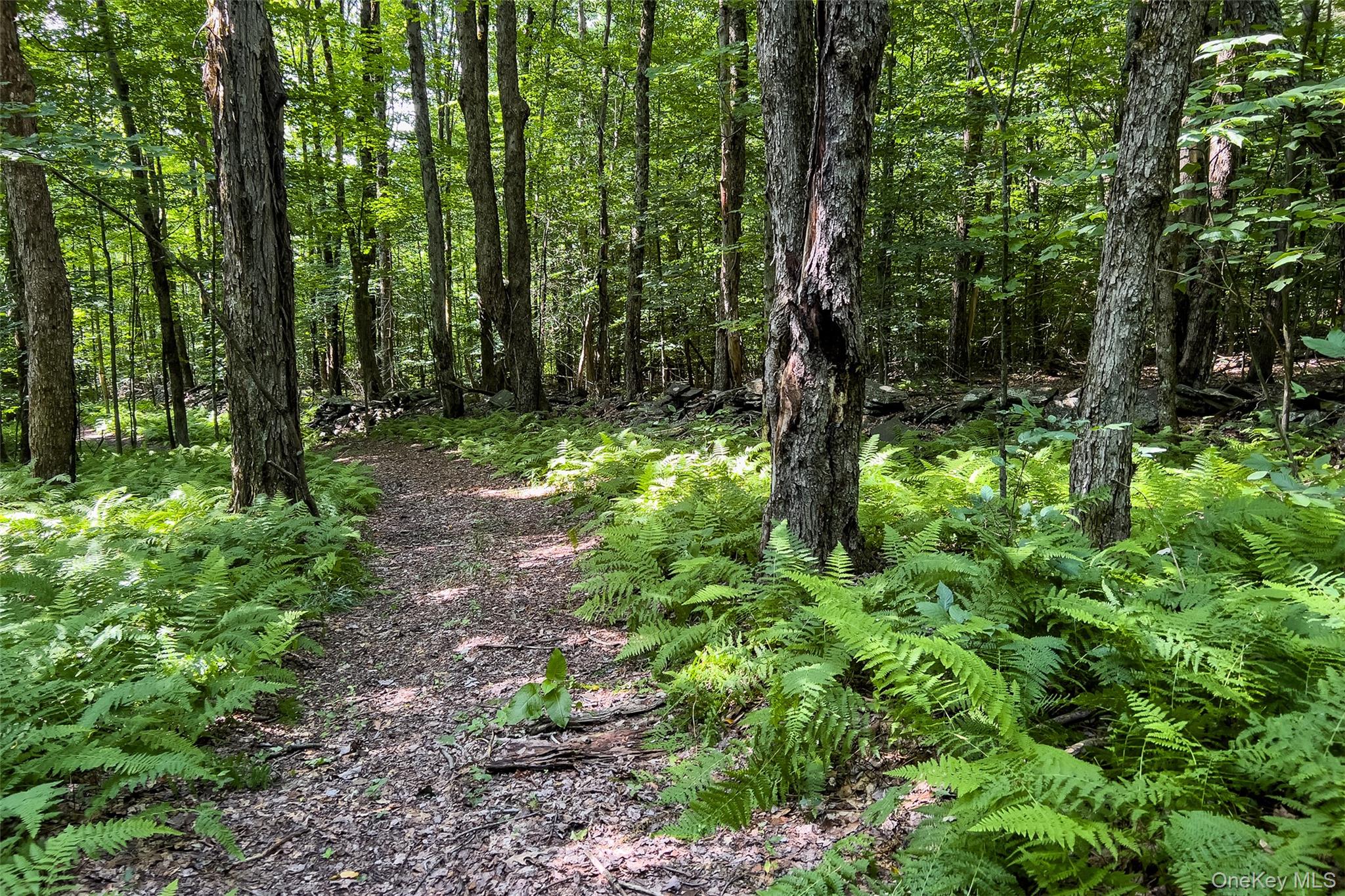 Lot #11 Franklin Depot Road – For Sale photo 38